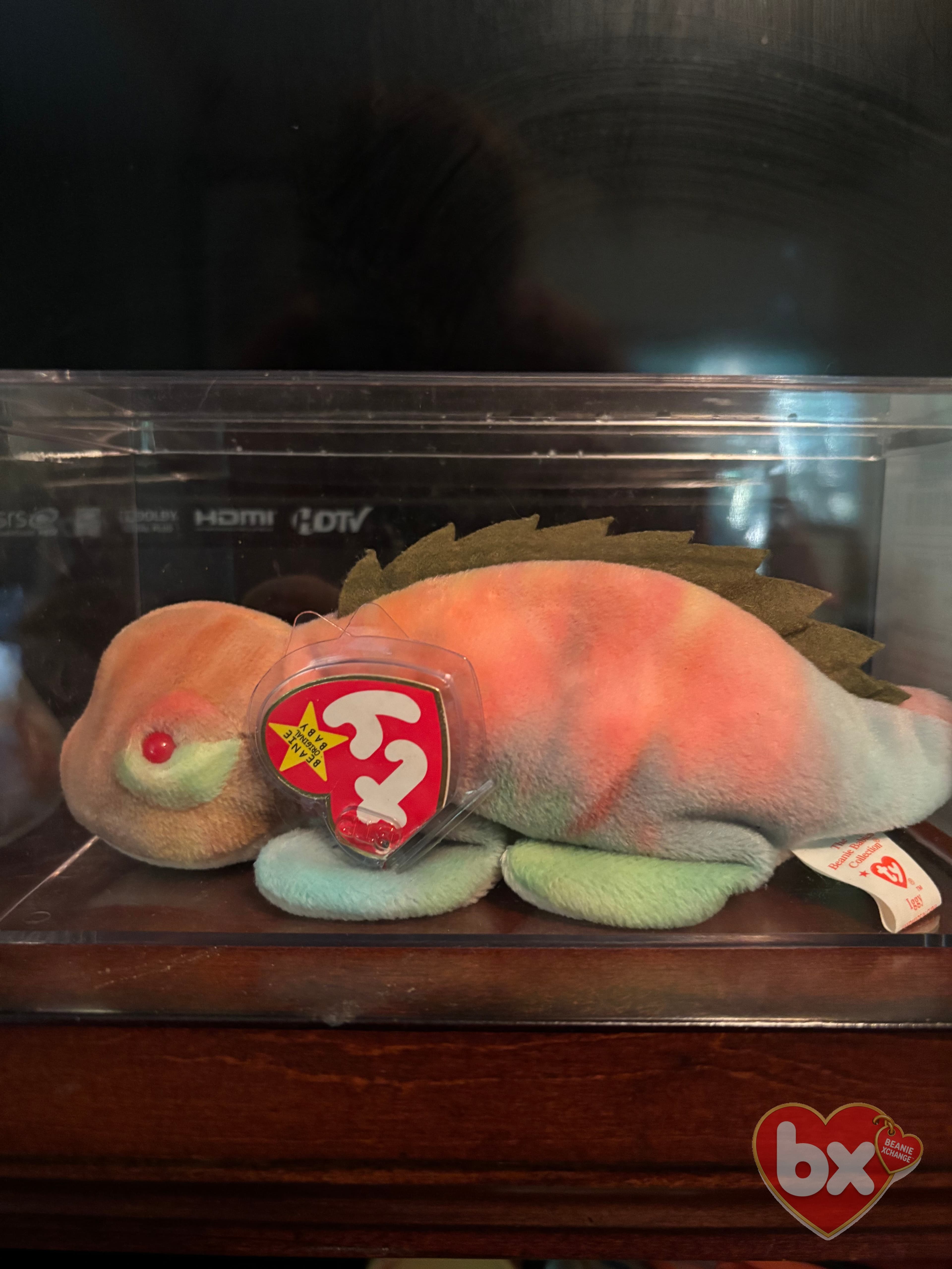 Iggy — Ty Beanie Baby (photo 2)