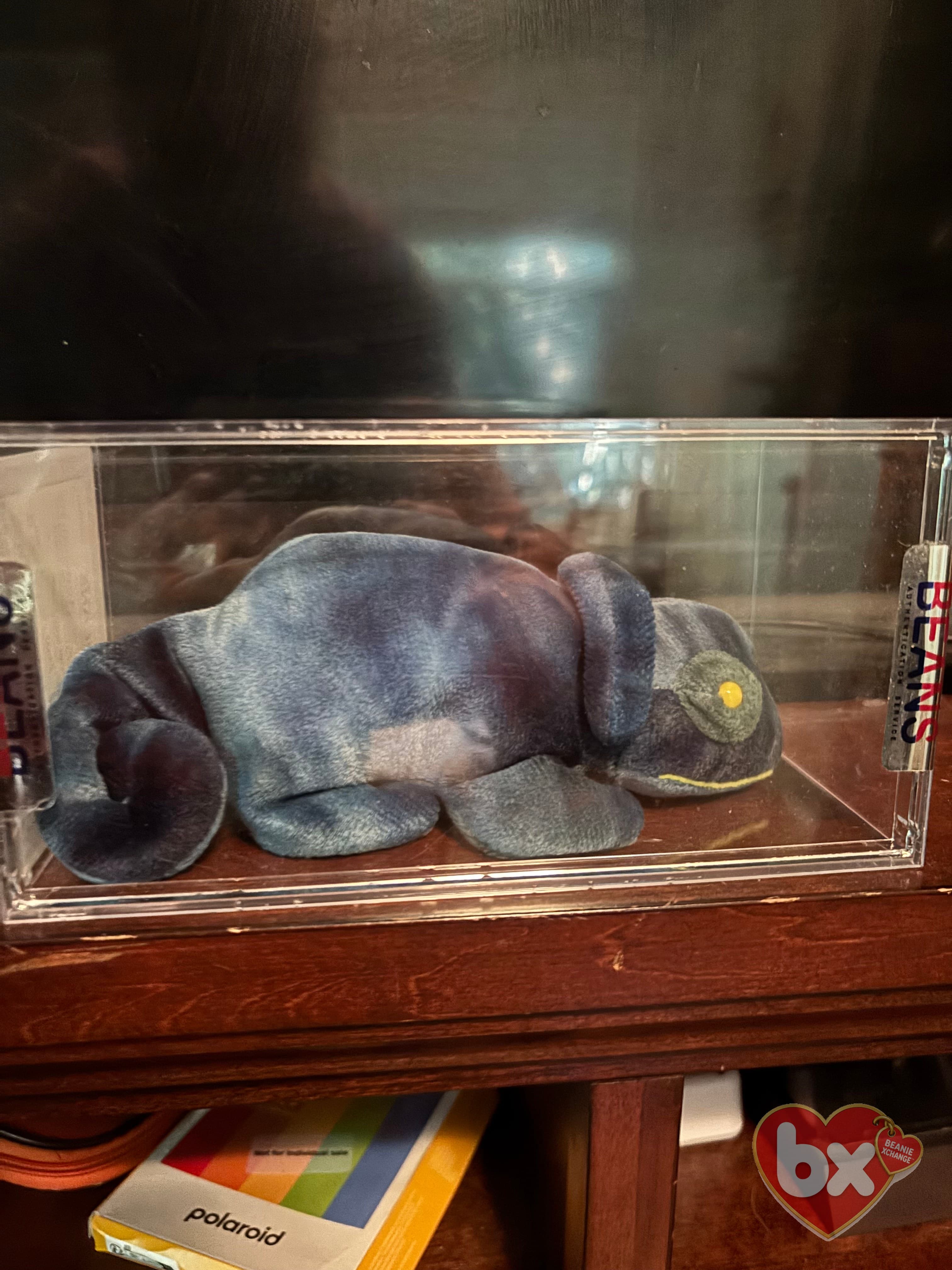 Rainbow — Ty Beanie Baby (photo 2)