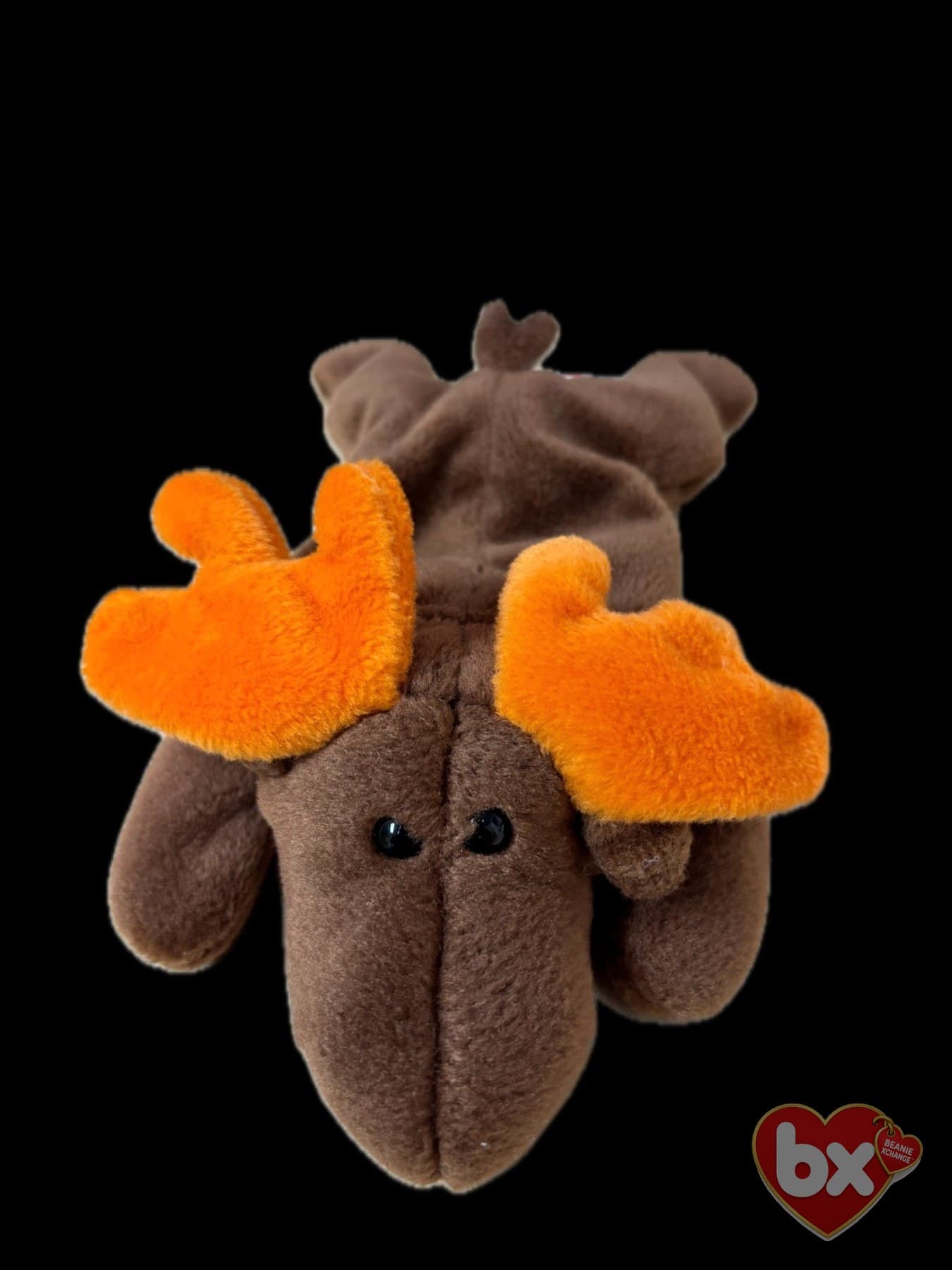 Chocolate — Ty Beanie Baby (photo 2)