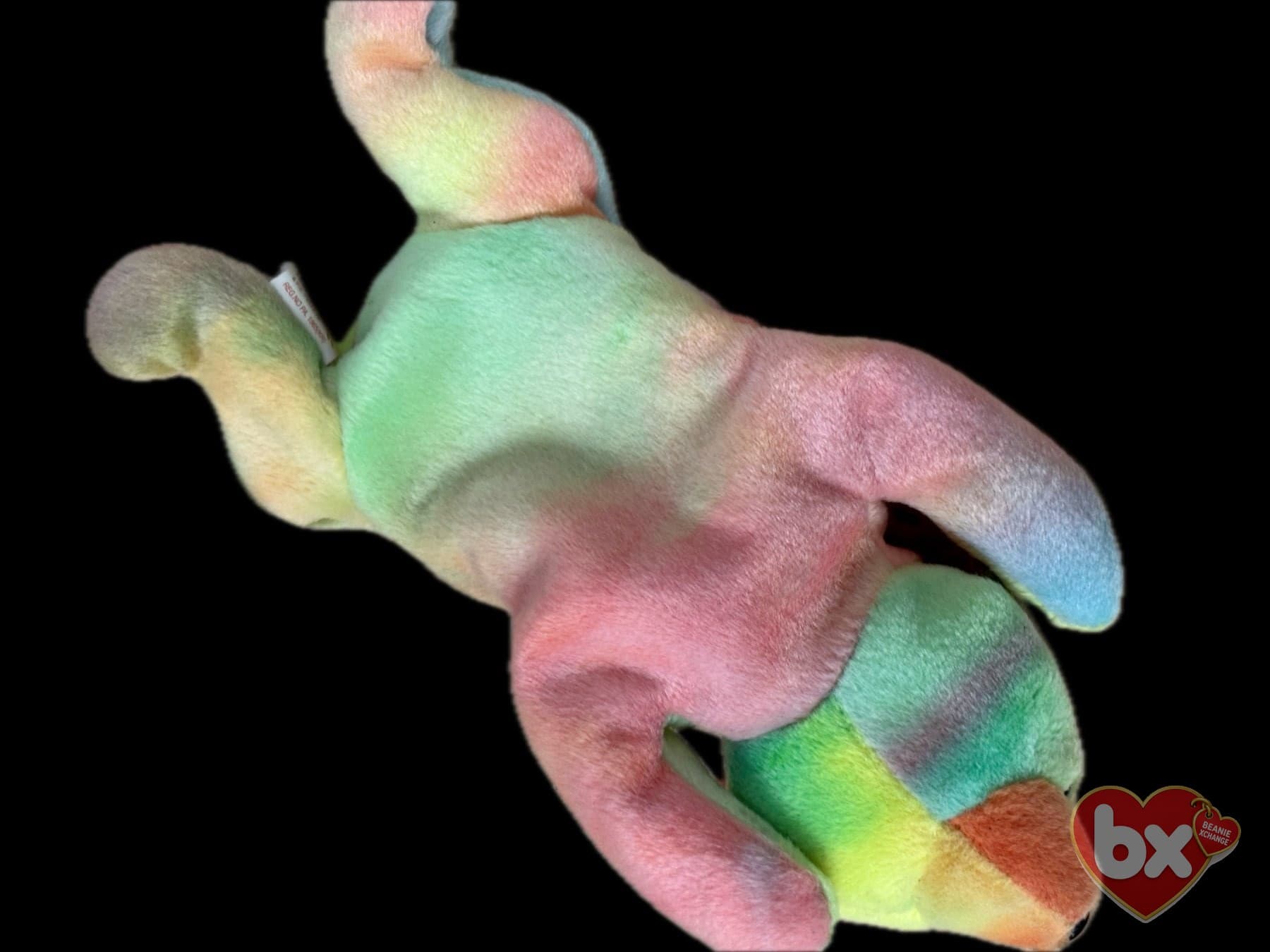 Sammy — Ty Beanie Baby (photo 4)