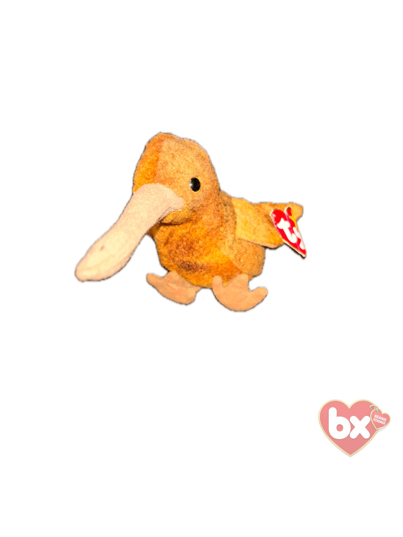 Kiwi — Ty Beanie Baby (photo 2)