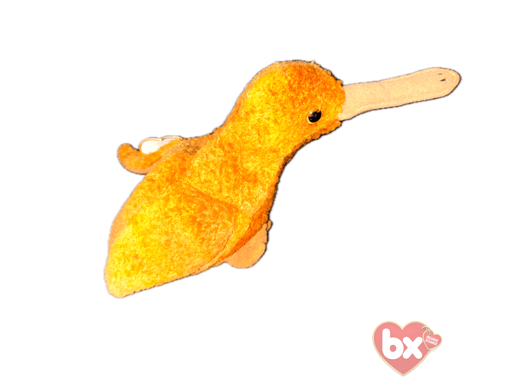 Kiwi — Ty Beanie Baby (photo 3)