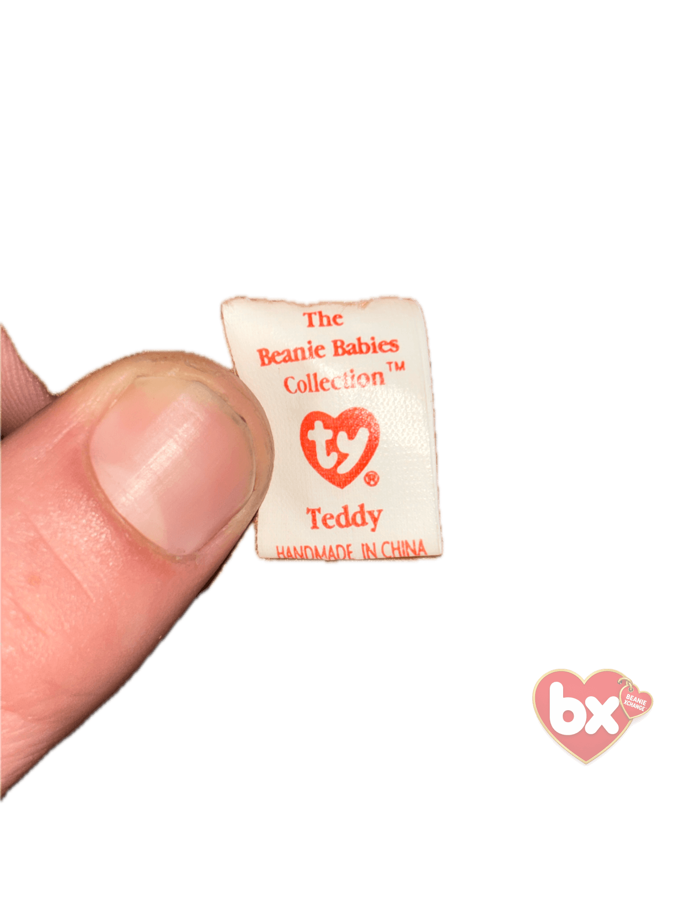 Teddy — Ty Beanie Baby (photo 6)