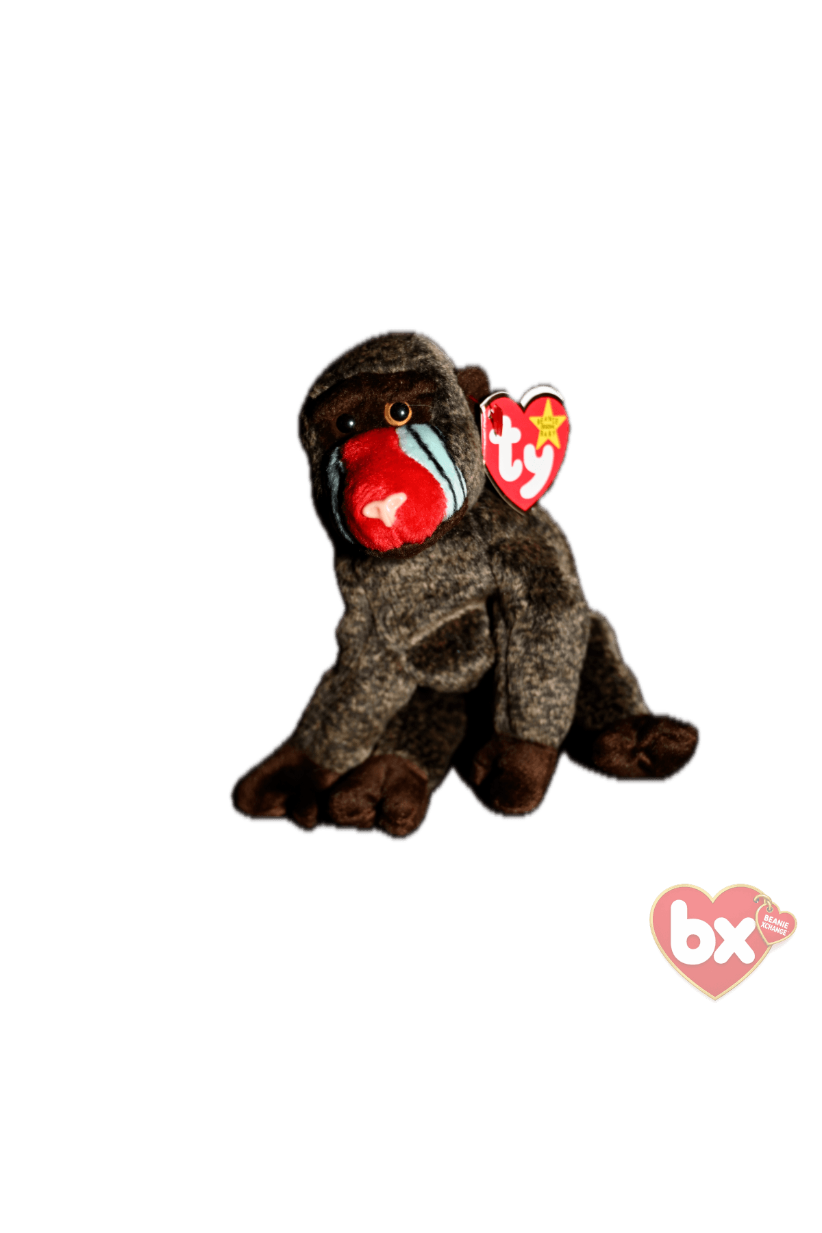 Bongo — Ty Beanie Baby (photo 2)