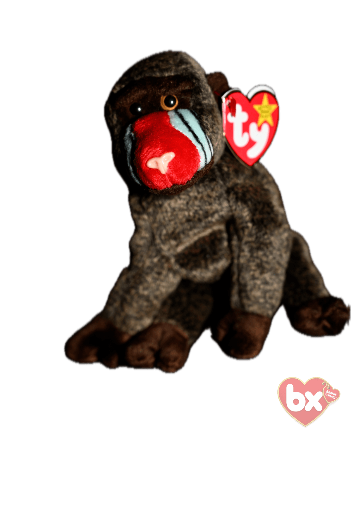 Bongo — Ty Beanie Baby