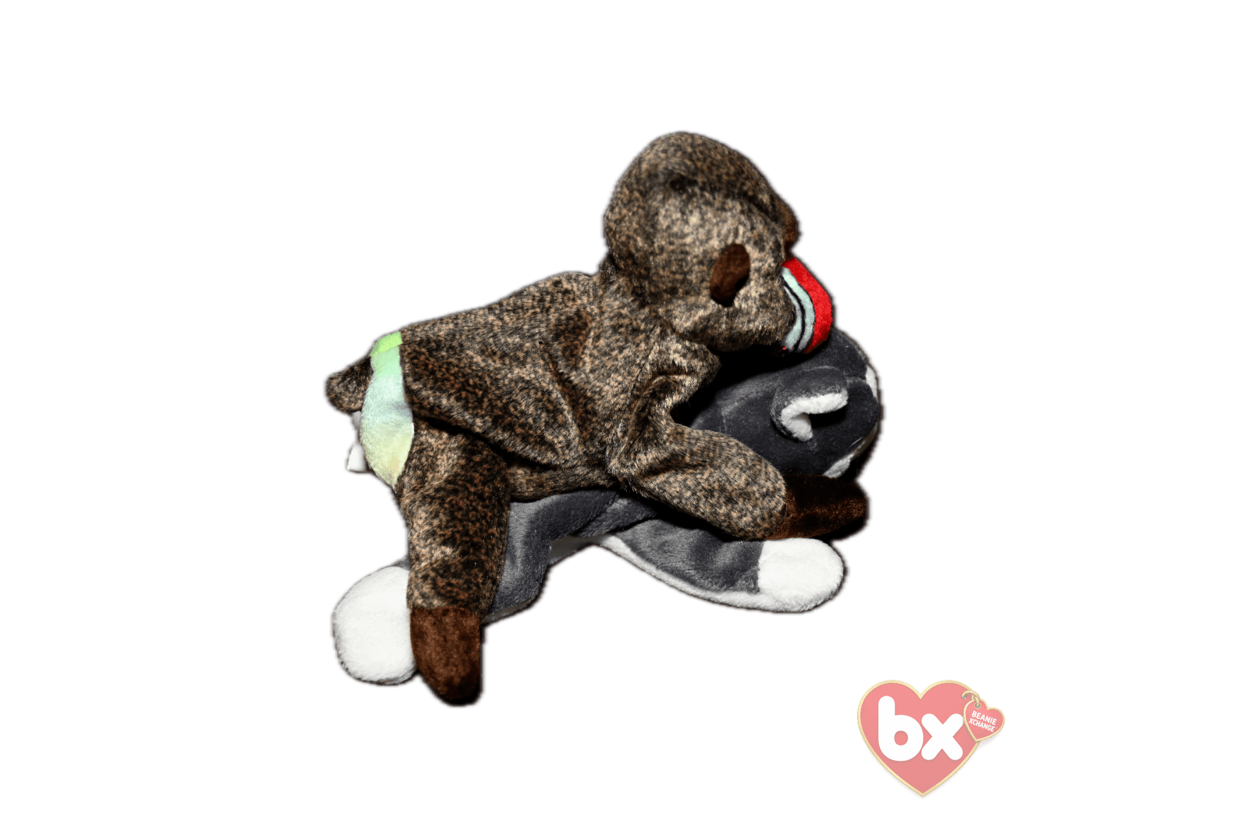 Bongo — Ty Beanie Baby (photo 6)