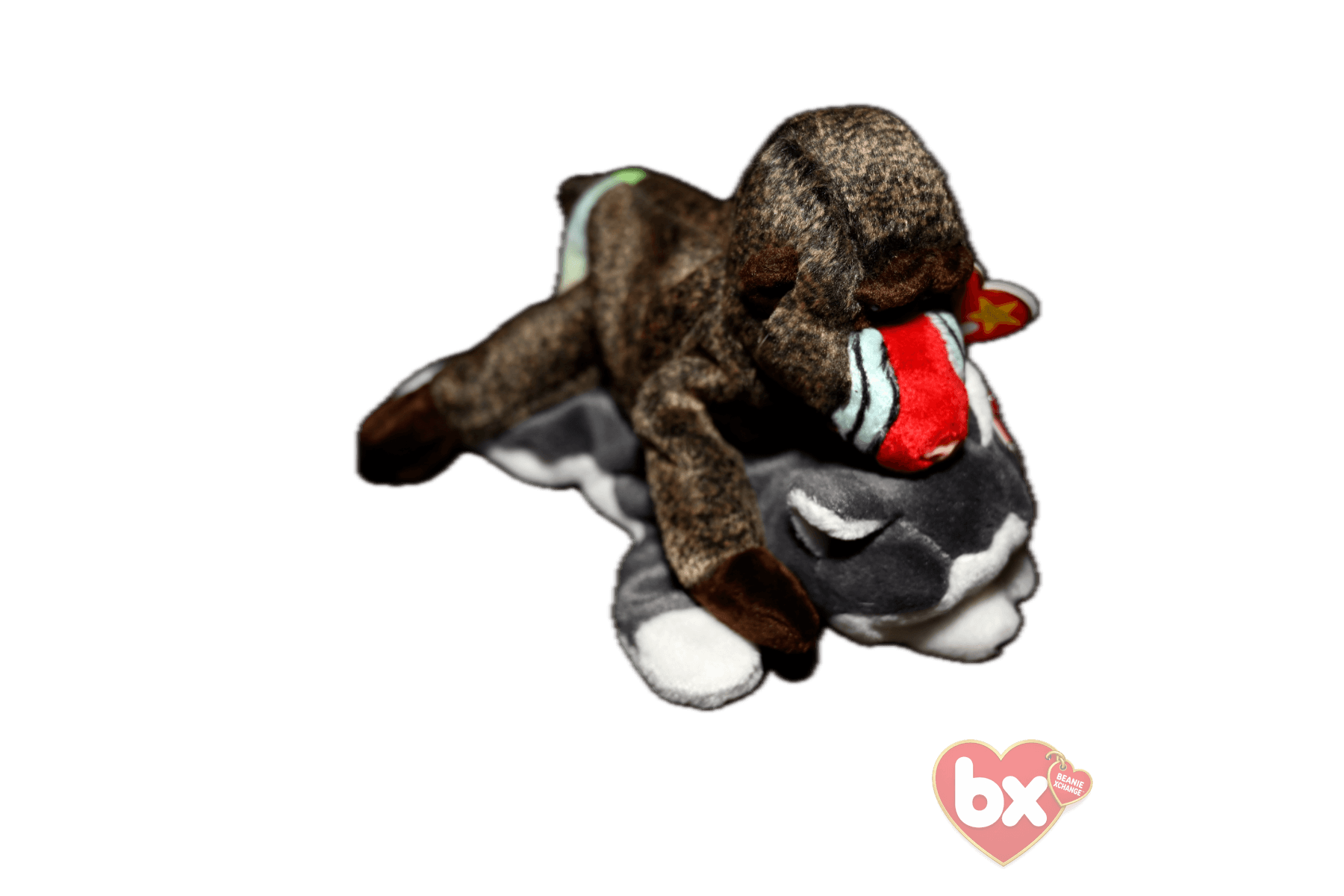 Bongo — Ty Beanie Baby (photo 7)
