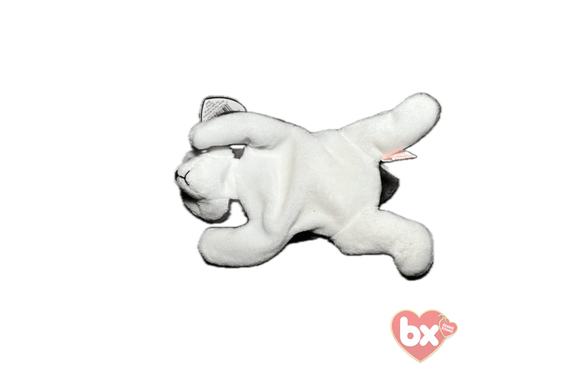 Nanook — Ty Beanie Baby (photo 3)
