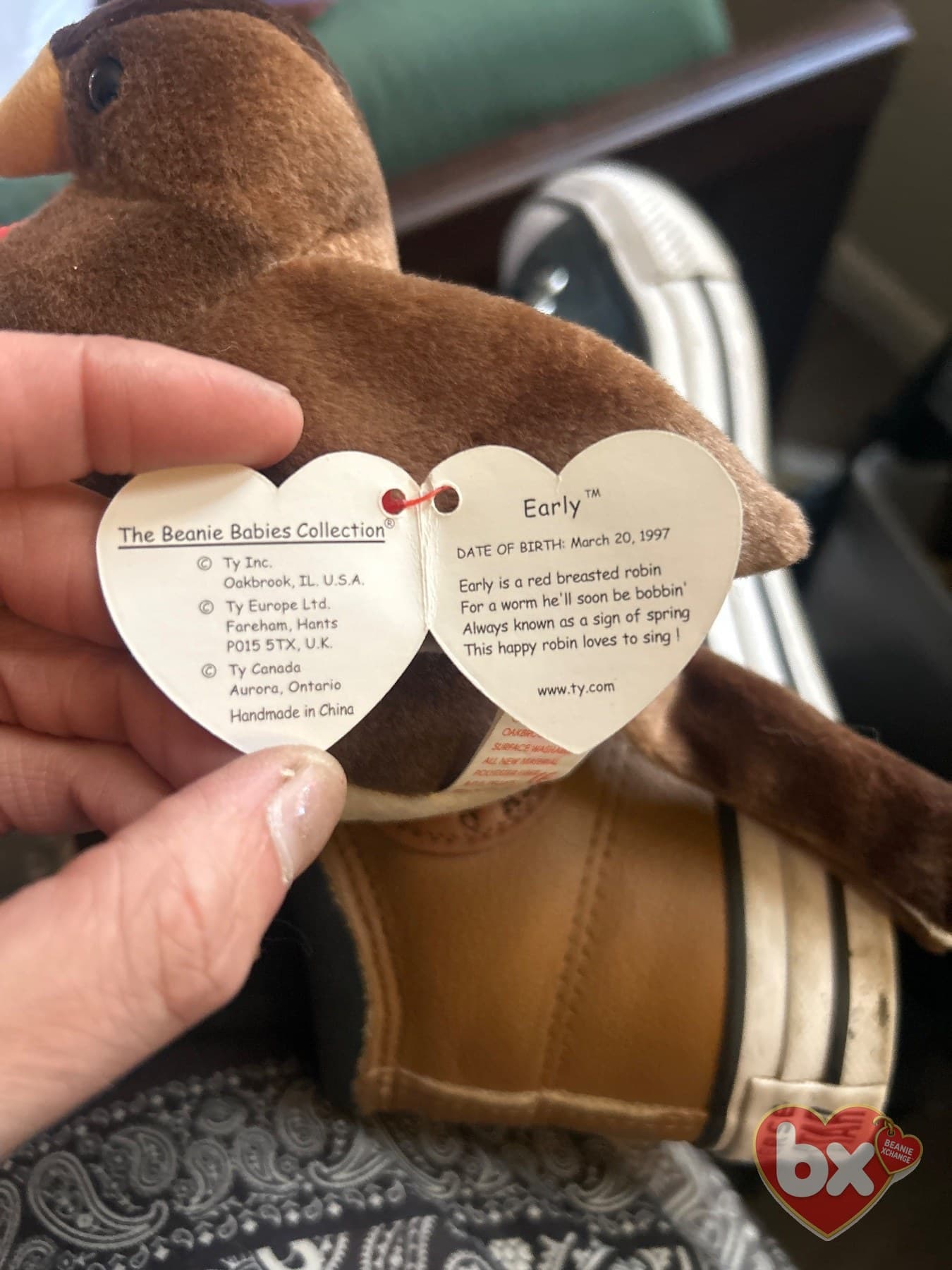 Early — Ty Beanie Baby (photo 3)