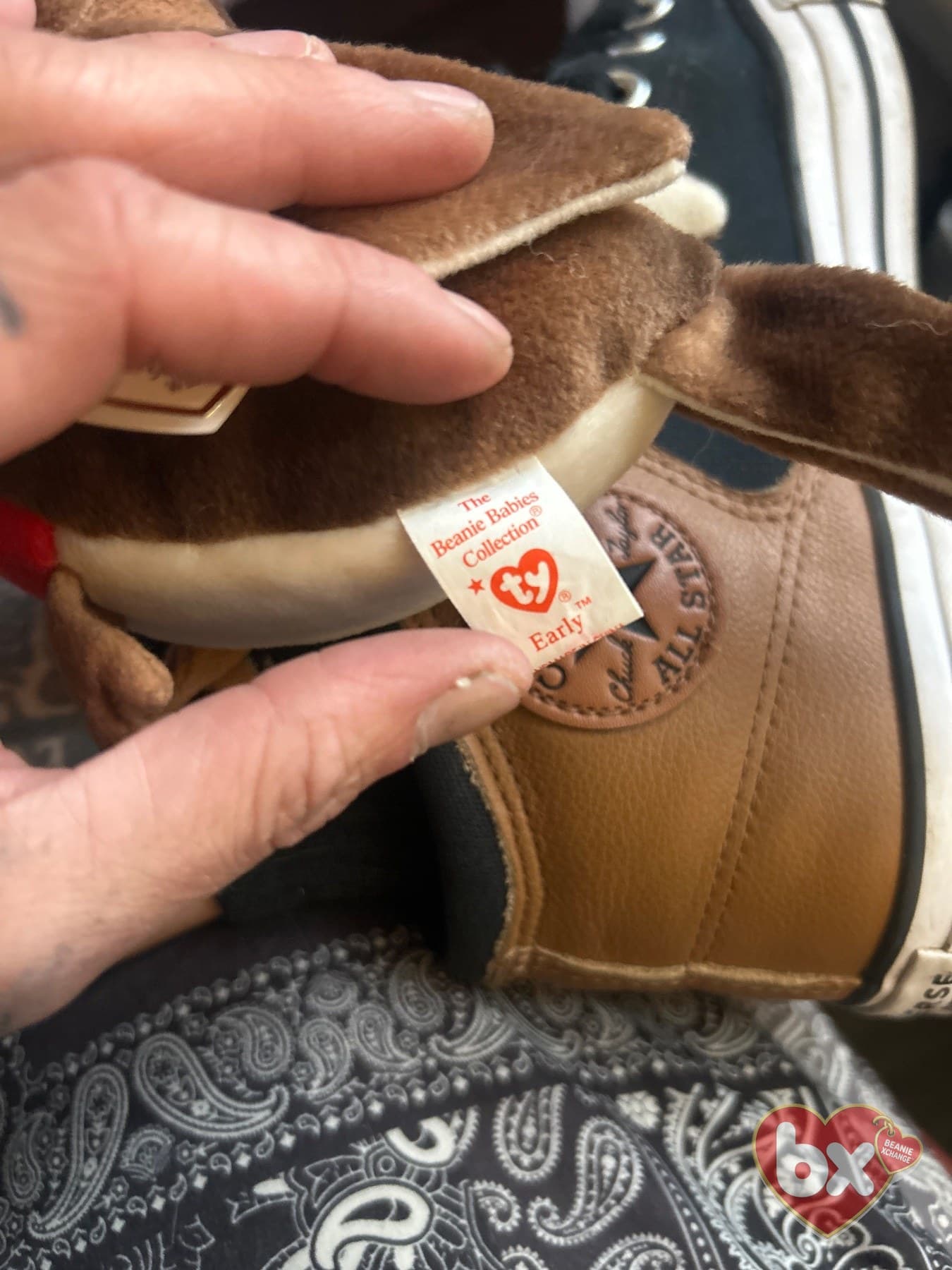 Early — Ty Beanie Baby (photo 5)