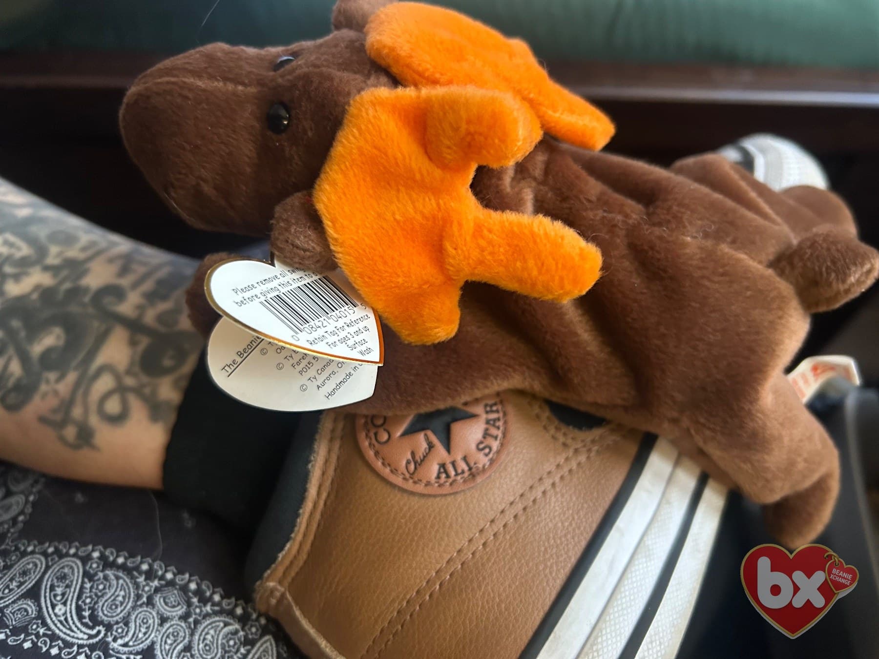 Chocolate — Ty Beanie Baby (photo 3)