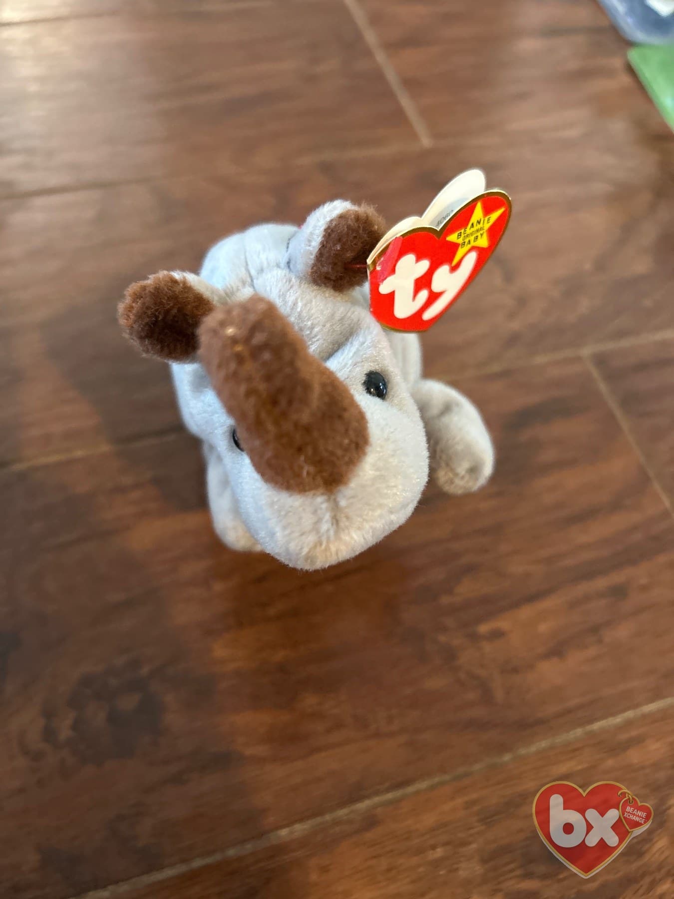 Spike — Ty Beanie Baby