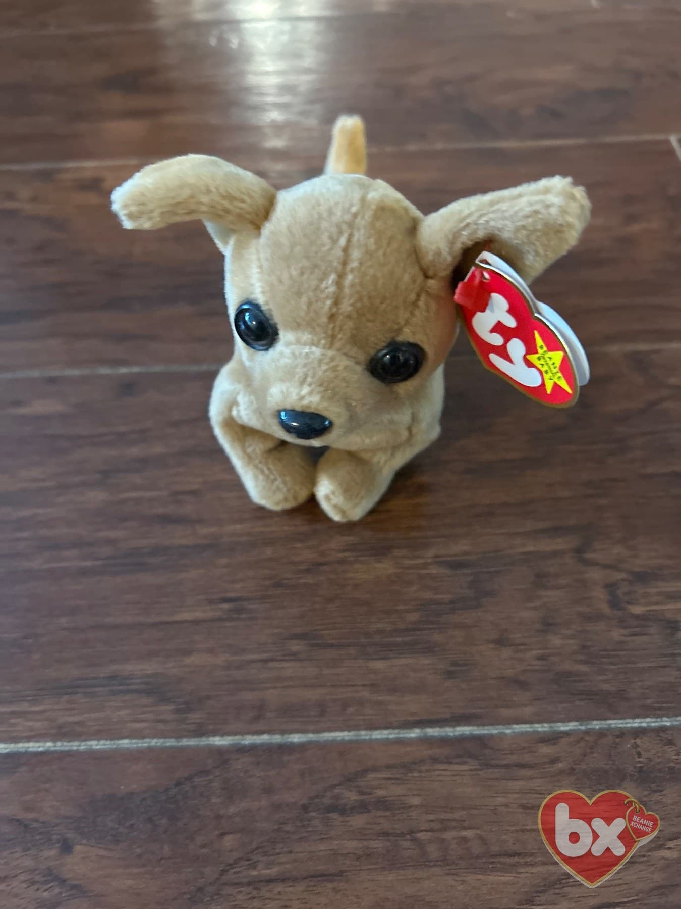 Sparky — Ty Beanie Baby