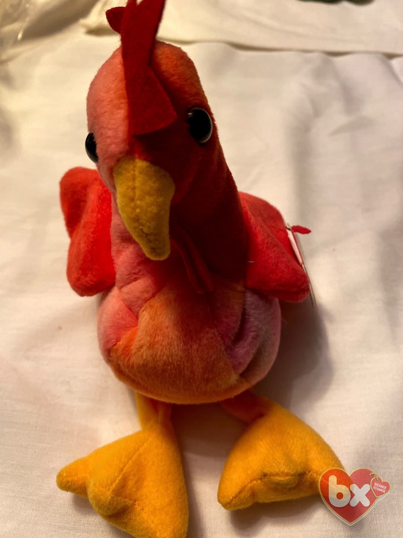 Strut — Ty Beanie Baby (photo 1)
