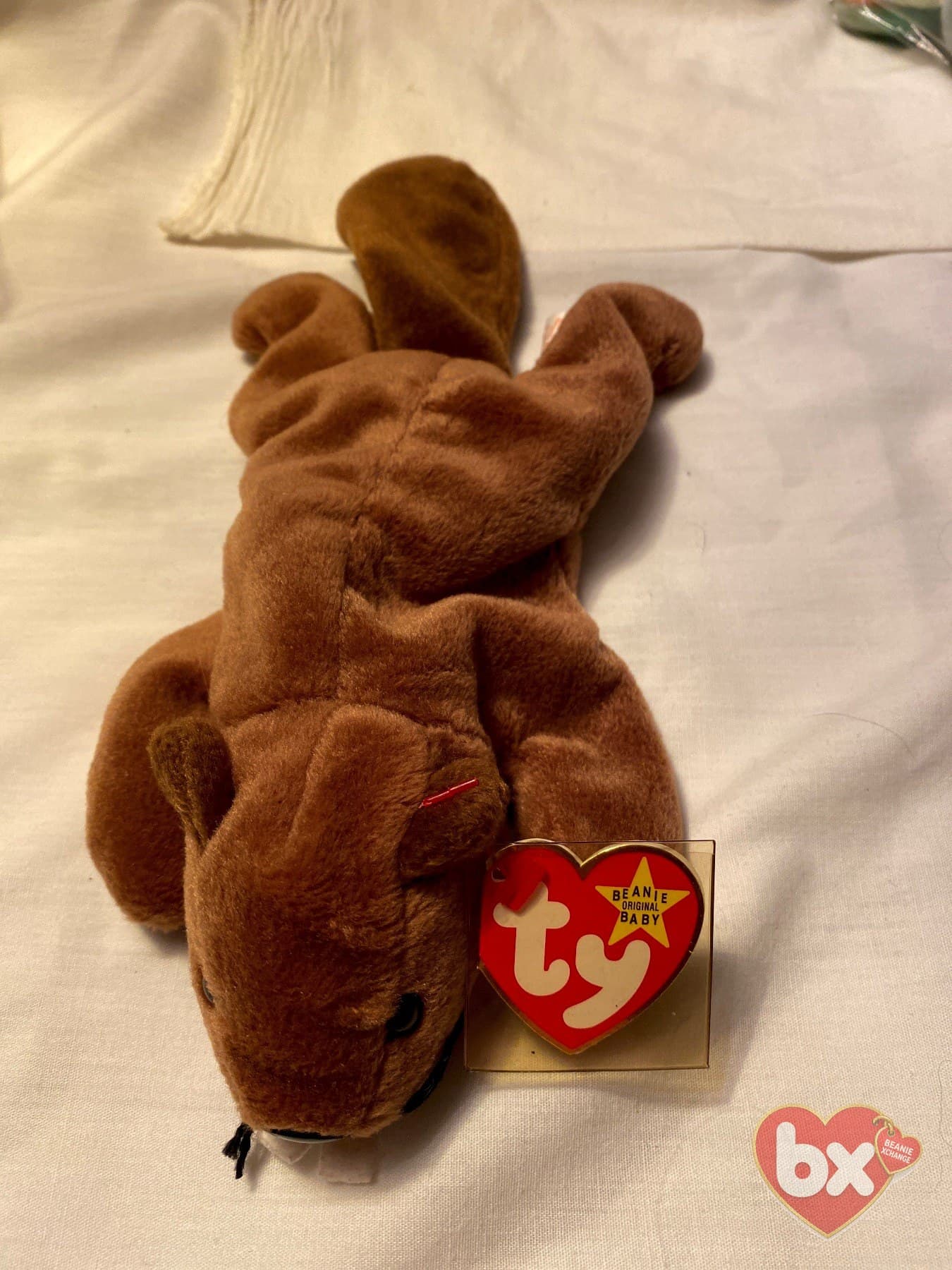 Cubbie — Ty Beanie Baby