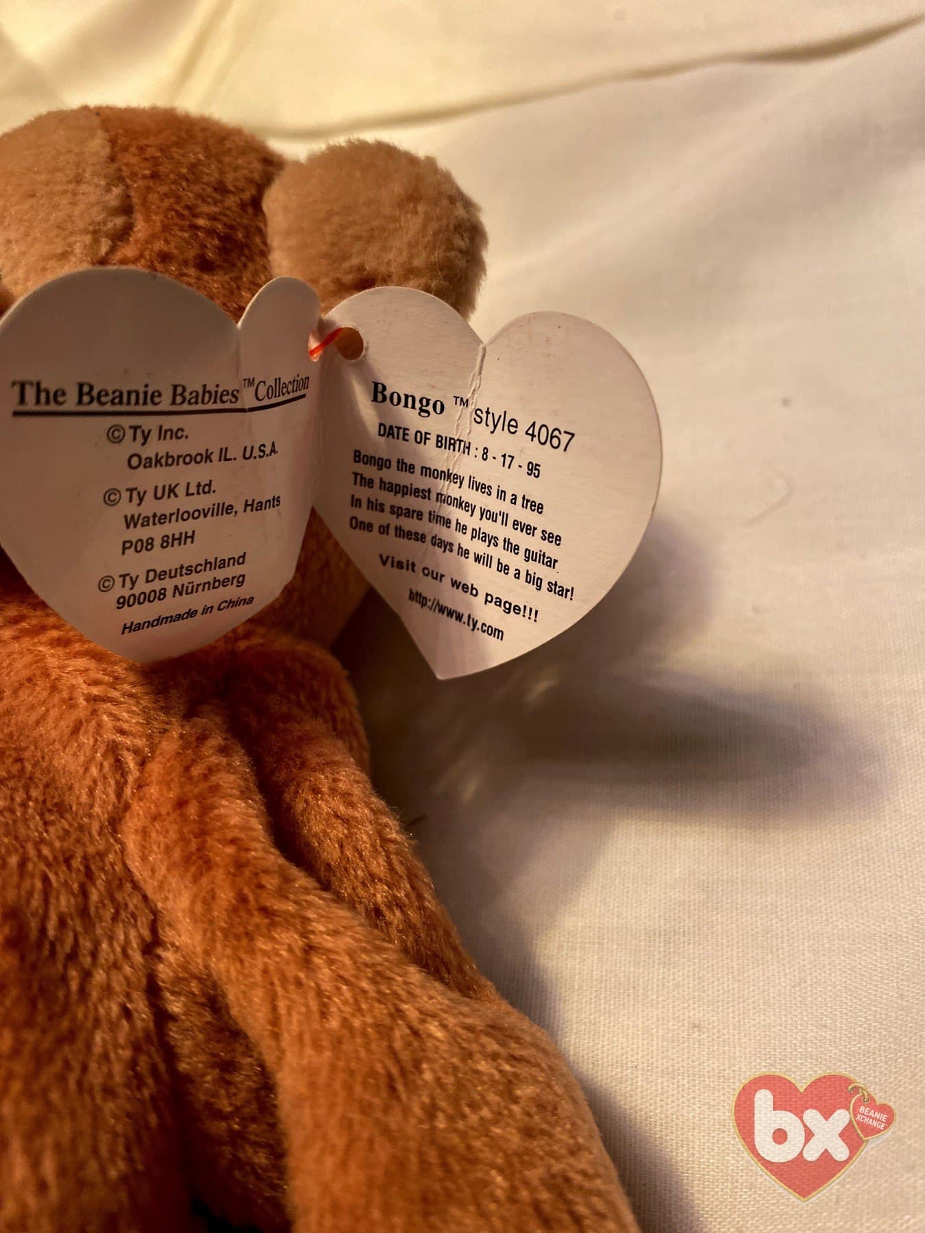 Bongo — Ty Beanie Baby (photo 2)