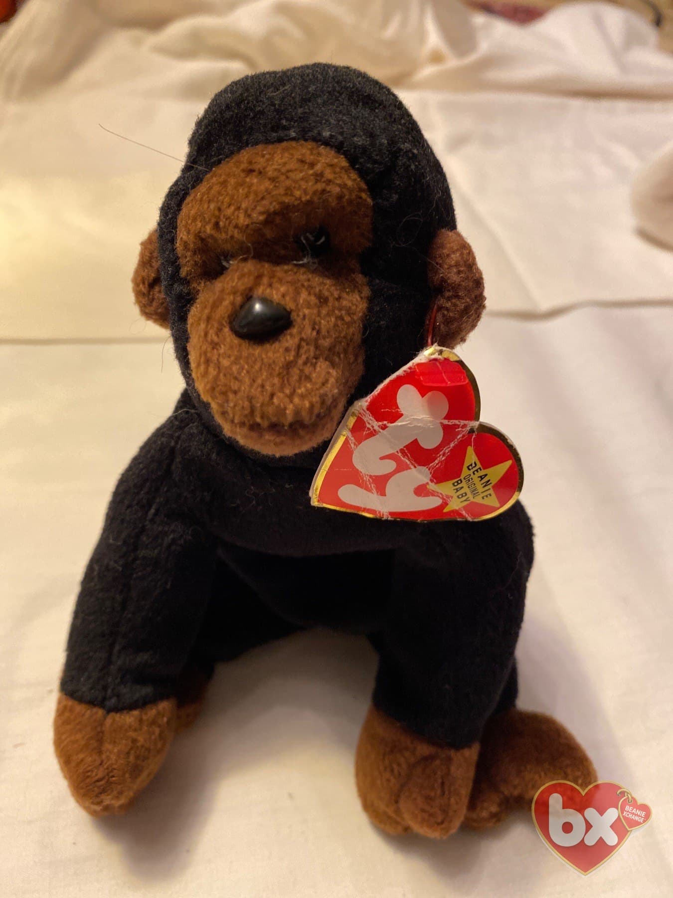 Congo — Ty Beanie Baby