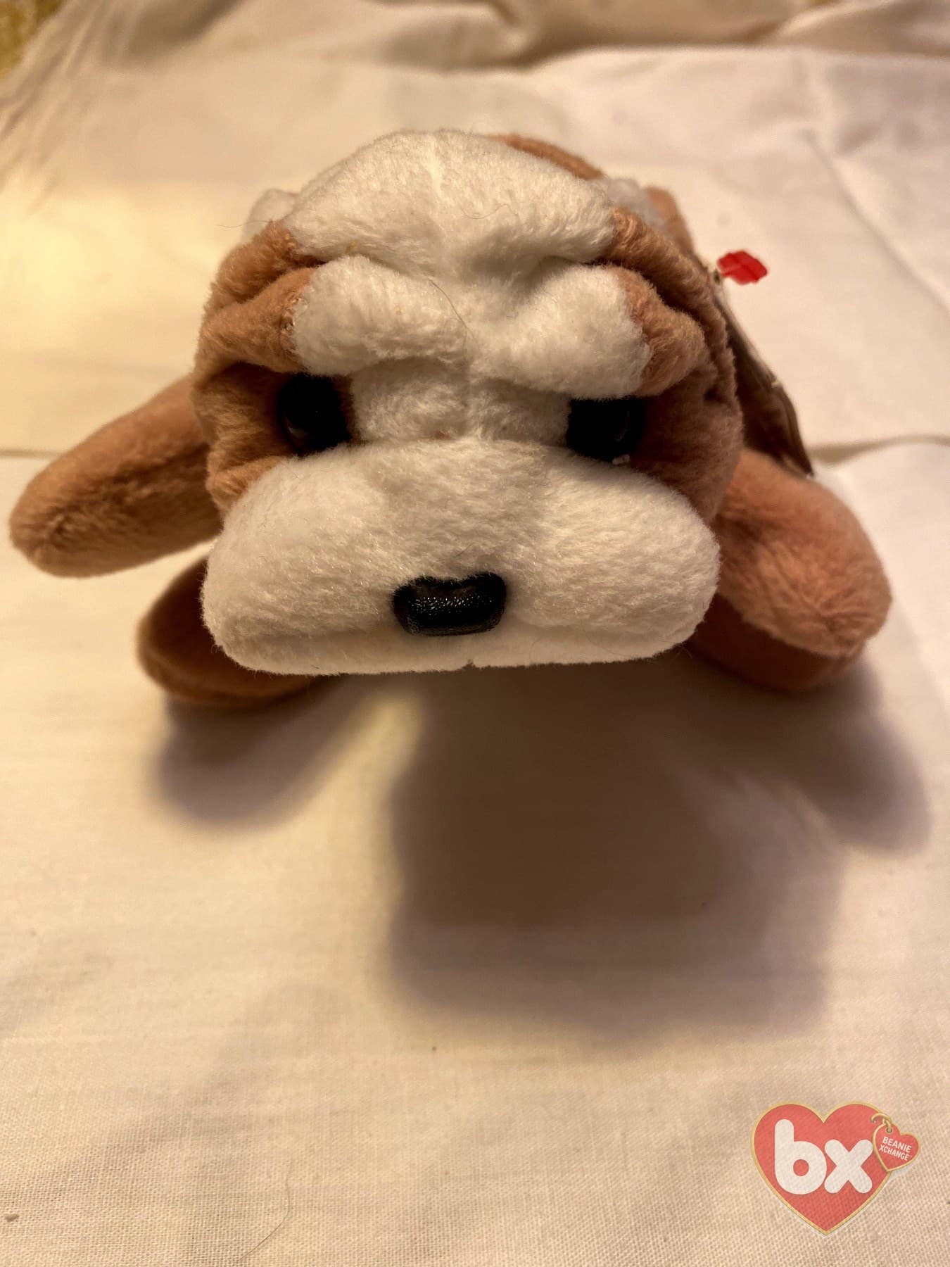 Wrinkles — Ty Beanie Baby