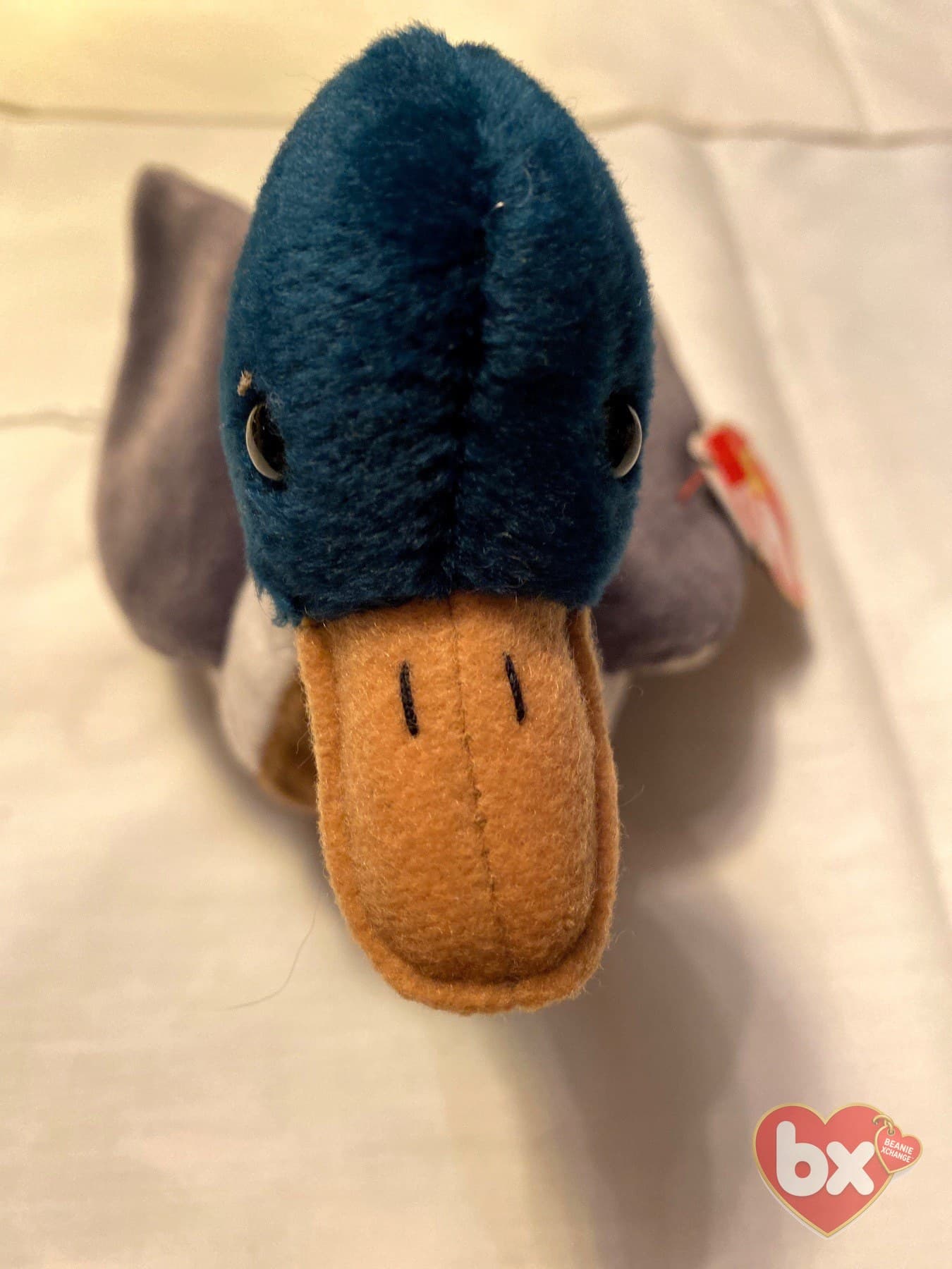 Jake — Ty Beanie Baby