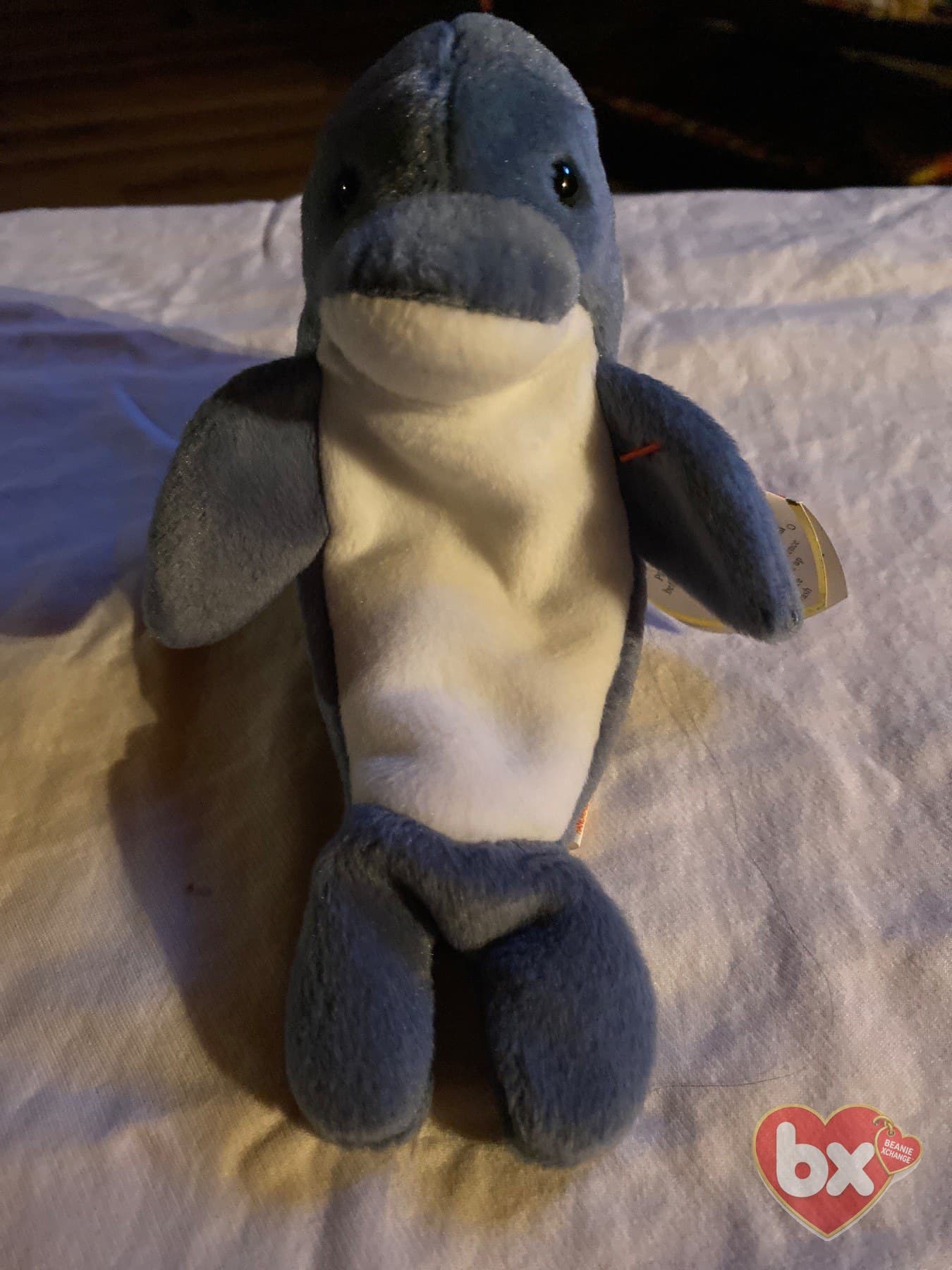 Echo — Ty Beanie Baby (photo 1)