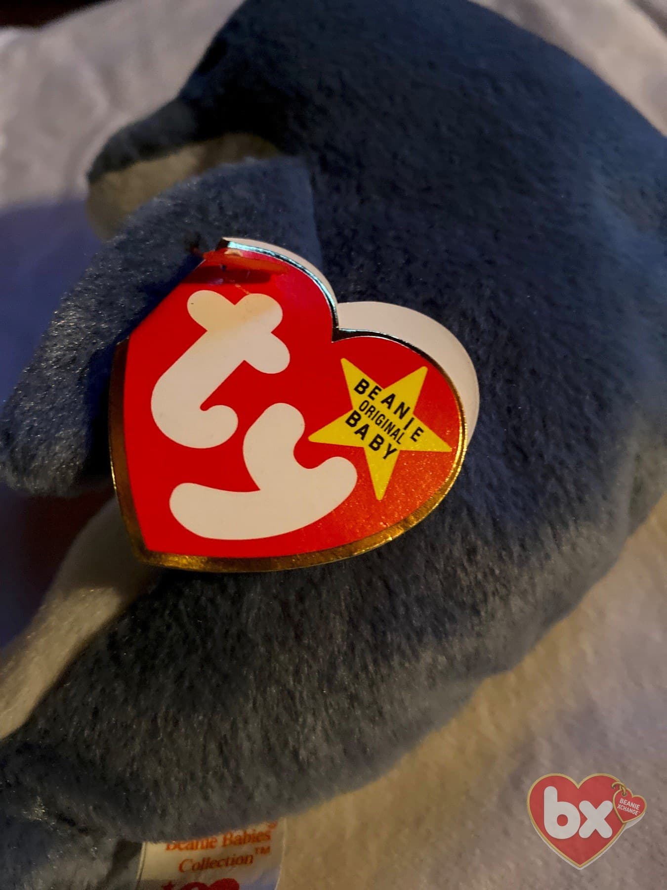Echo — Ty Beanie Baby (photo 2)