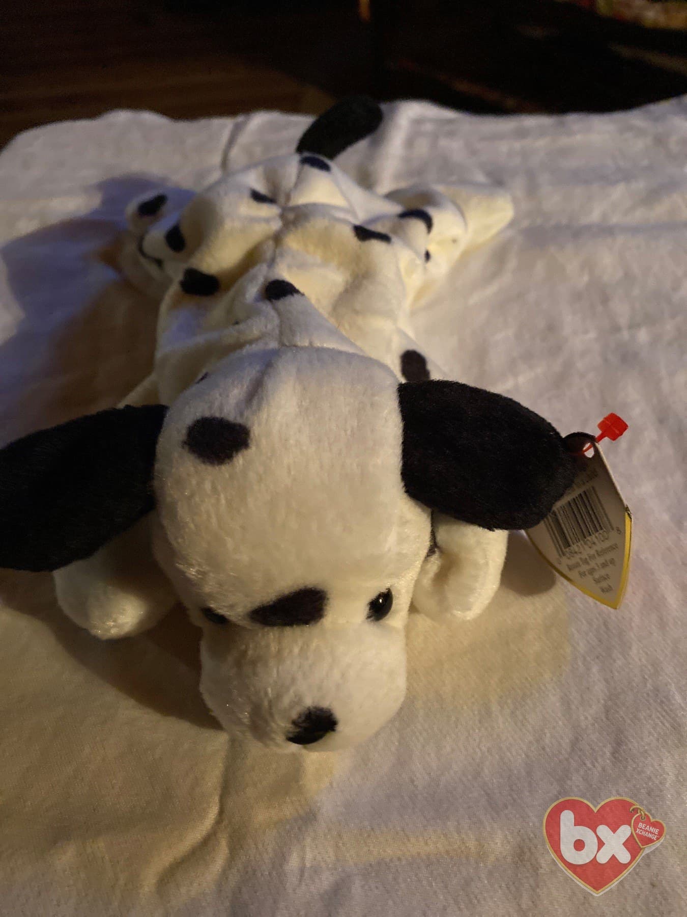 Dotty — Ty Beanie Baby