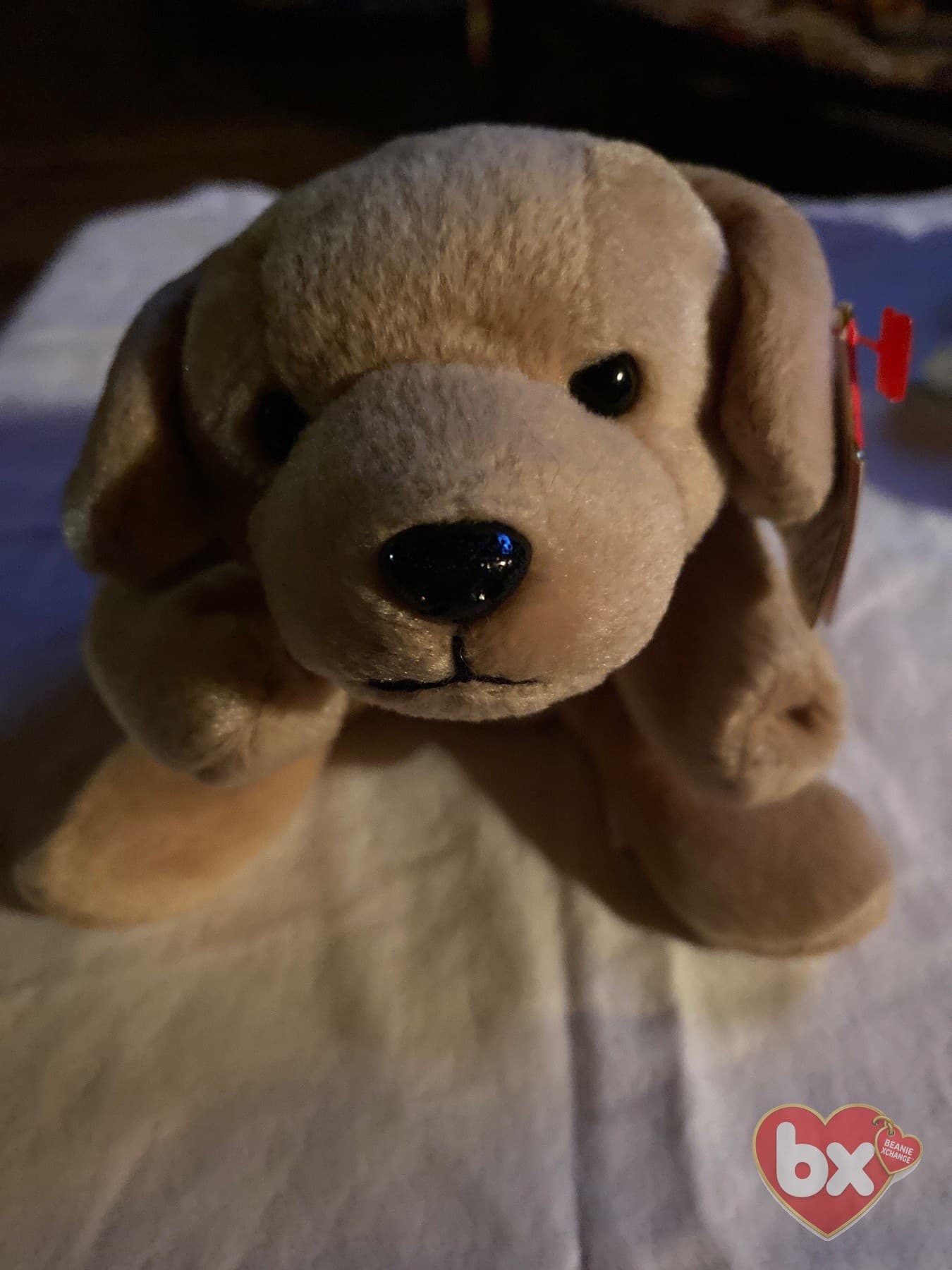 Fetch — Ty Beanie Baby
