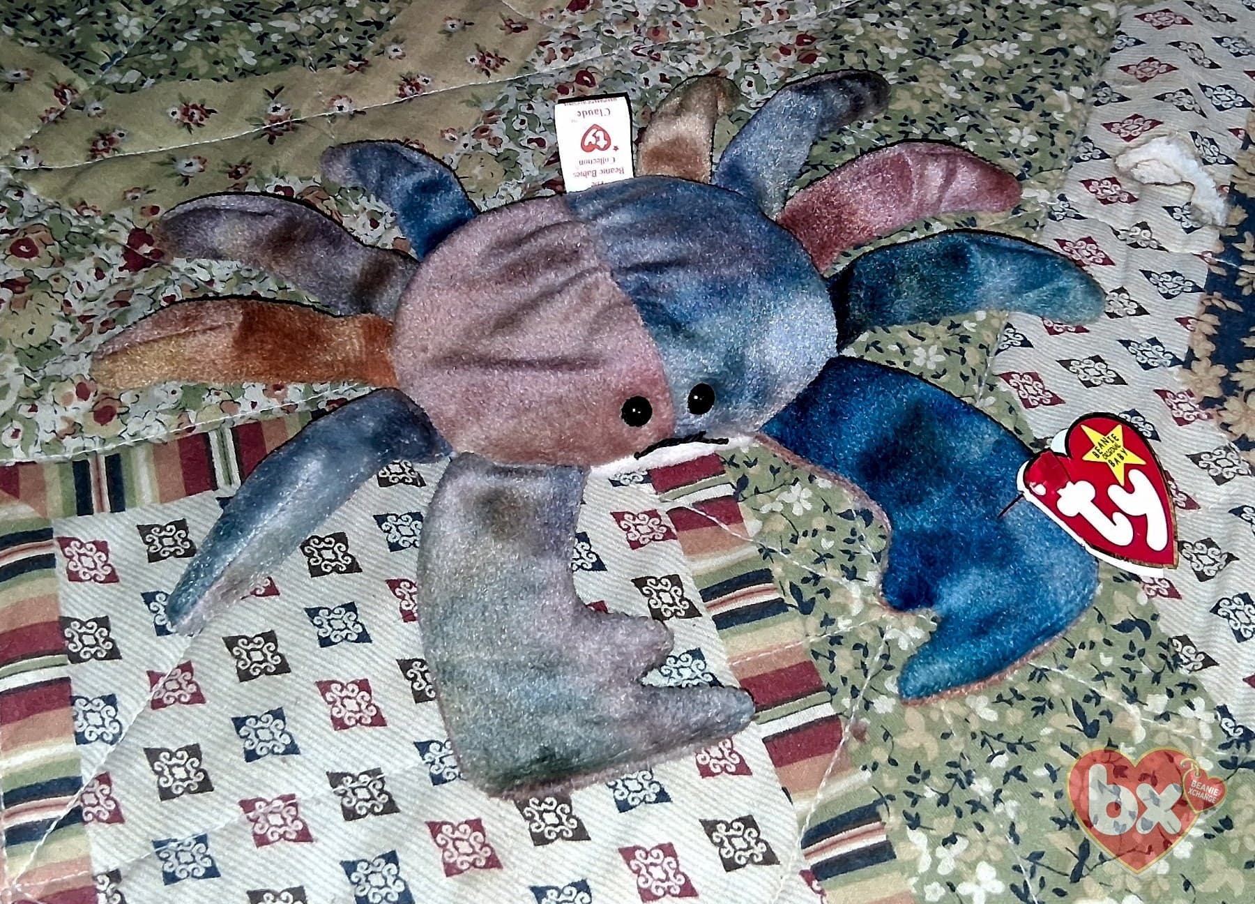 Claude — Ty Beanie Baby (photo 1)
