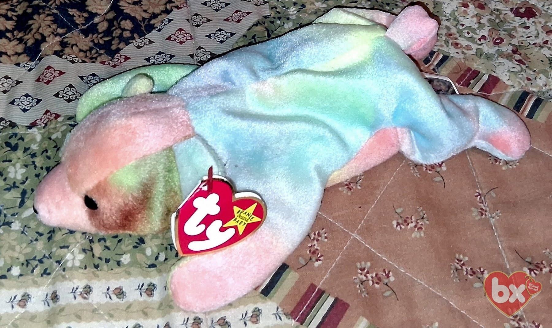Sammy — Ty Beanie Baby