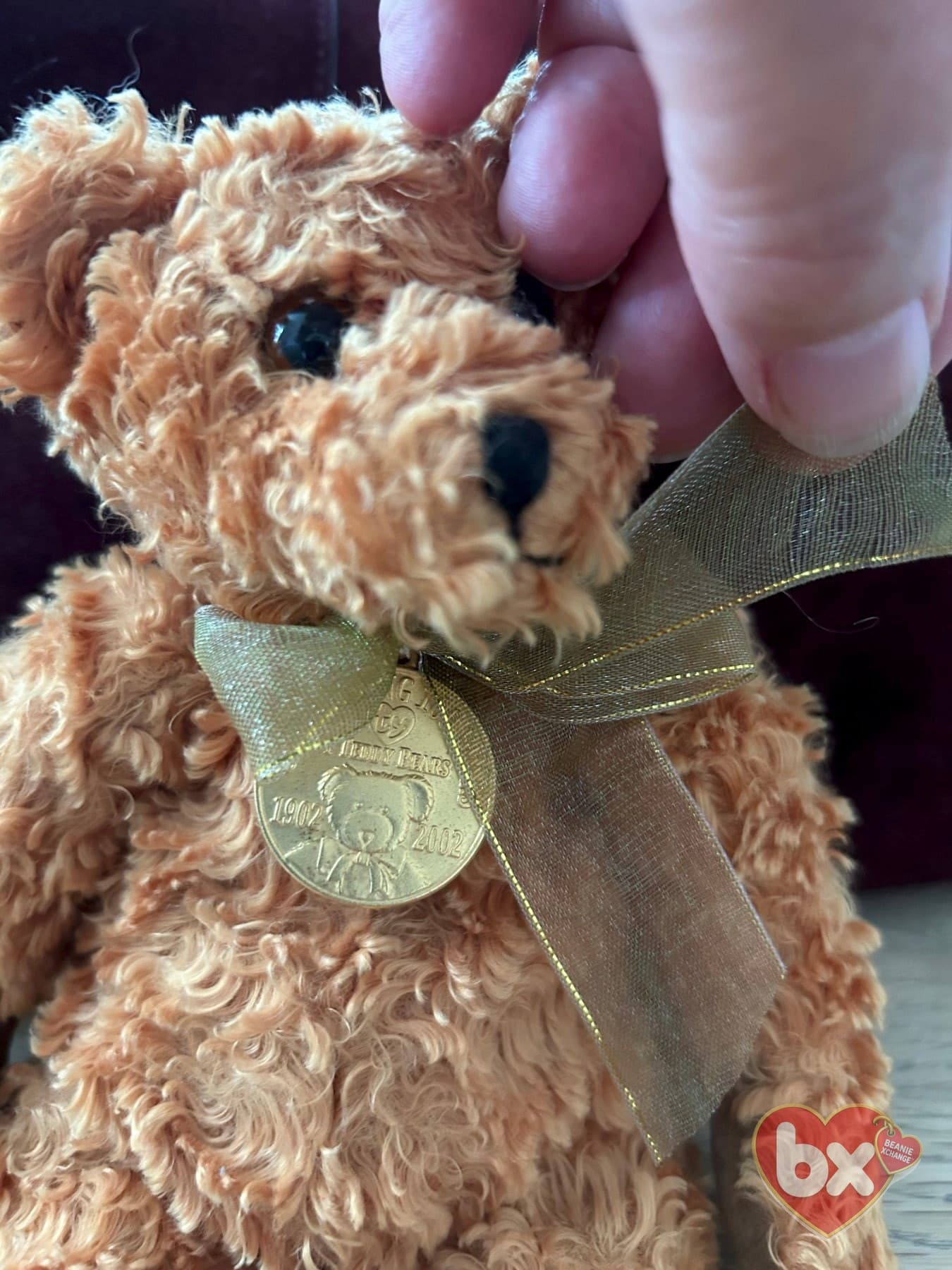 Teddy — Ty Beanie Baby (photo 3)