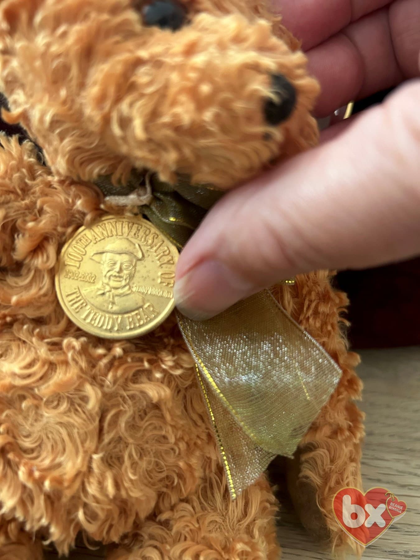 Teddy — Ty Beanie Baby (photo 4)
