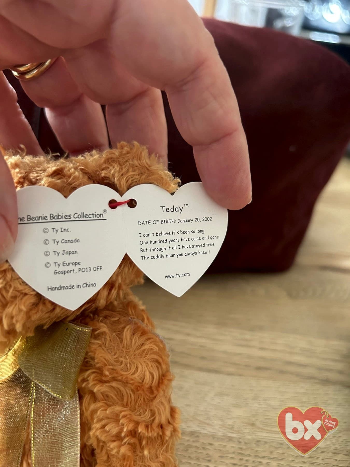 Teddy — Ty Beanie Baby (photo 5)