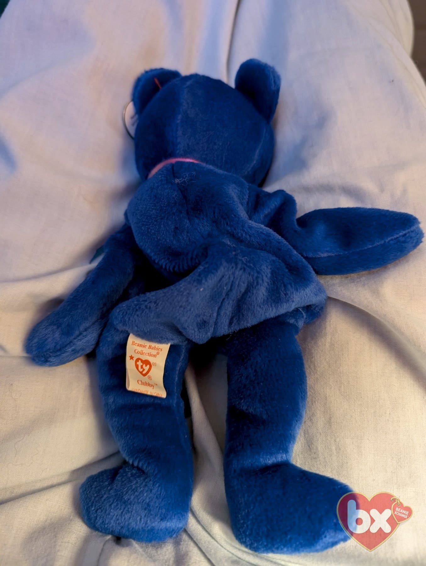 Classic Clubby the Bear — Ty Beanie Baby (photo 3)