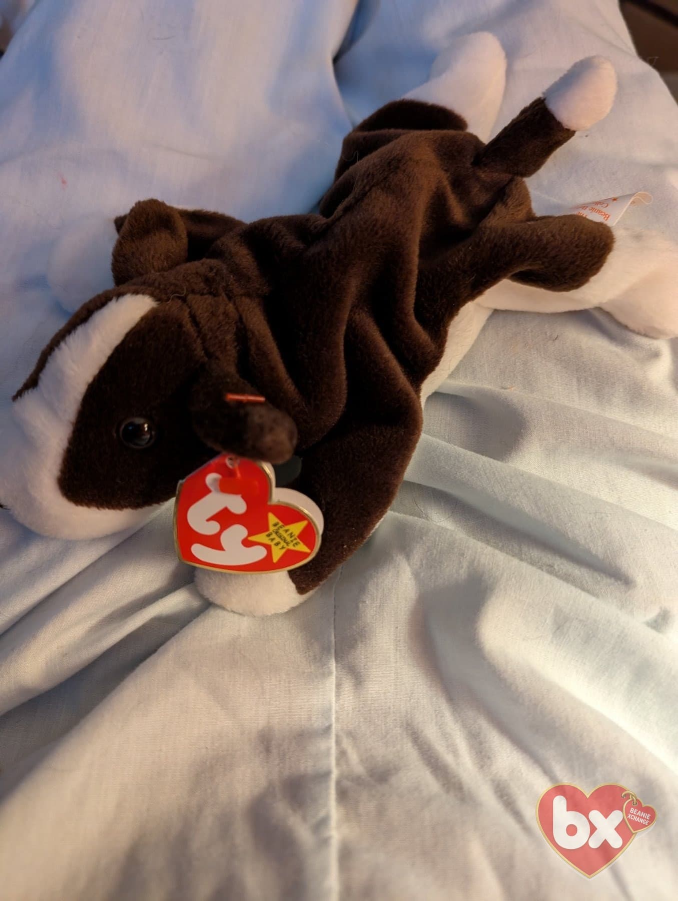 Bruno the Dog — Ty Beanie Baby (photo 2)
