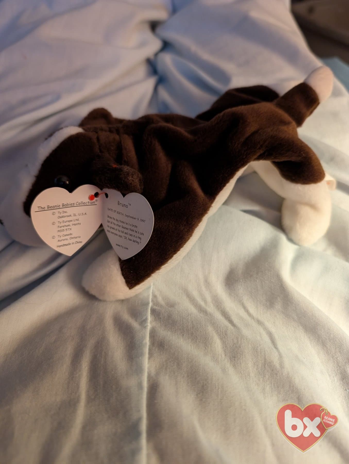 Bruno the Dog — Ty Beanie Baby (photo 1)