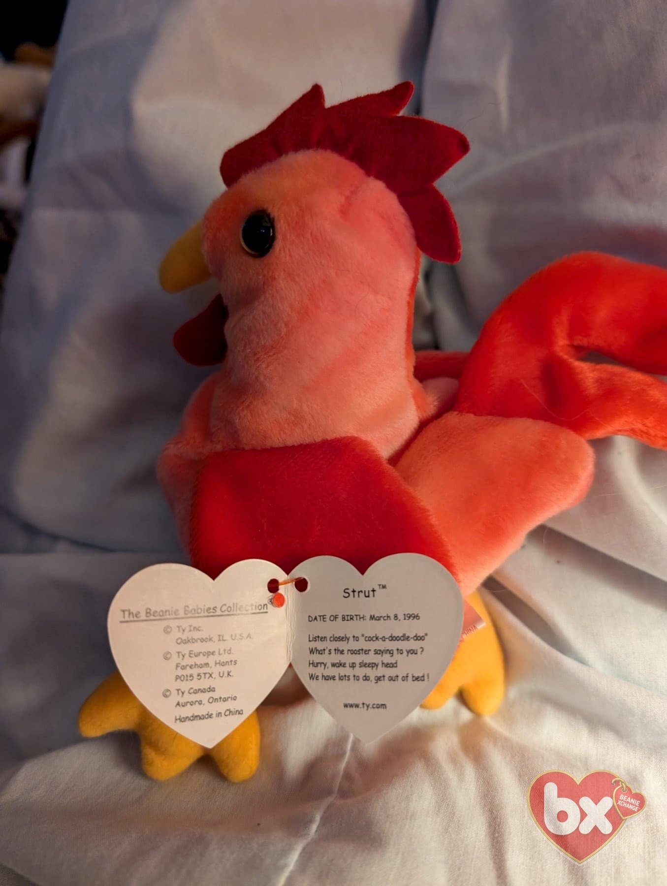 Doodle / Strut — Ty Beanie Baby (photo 2)