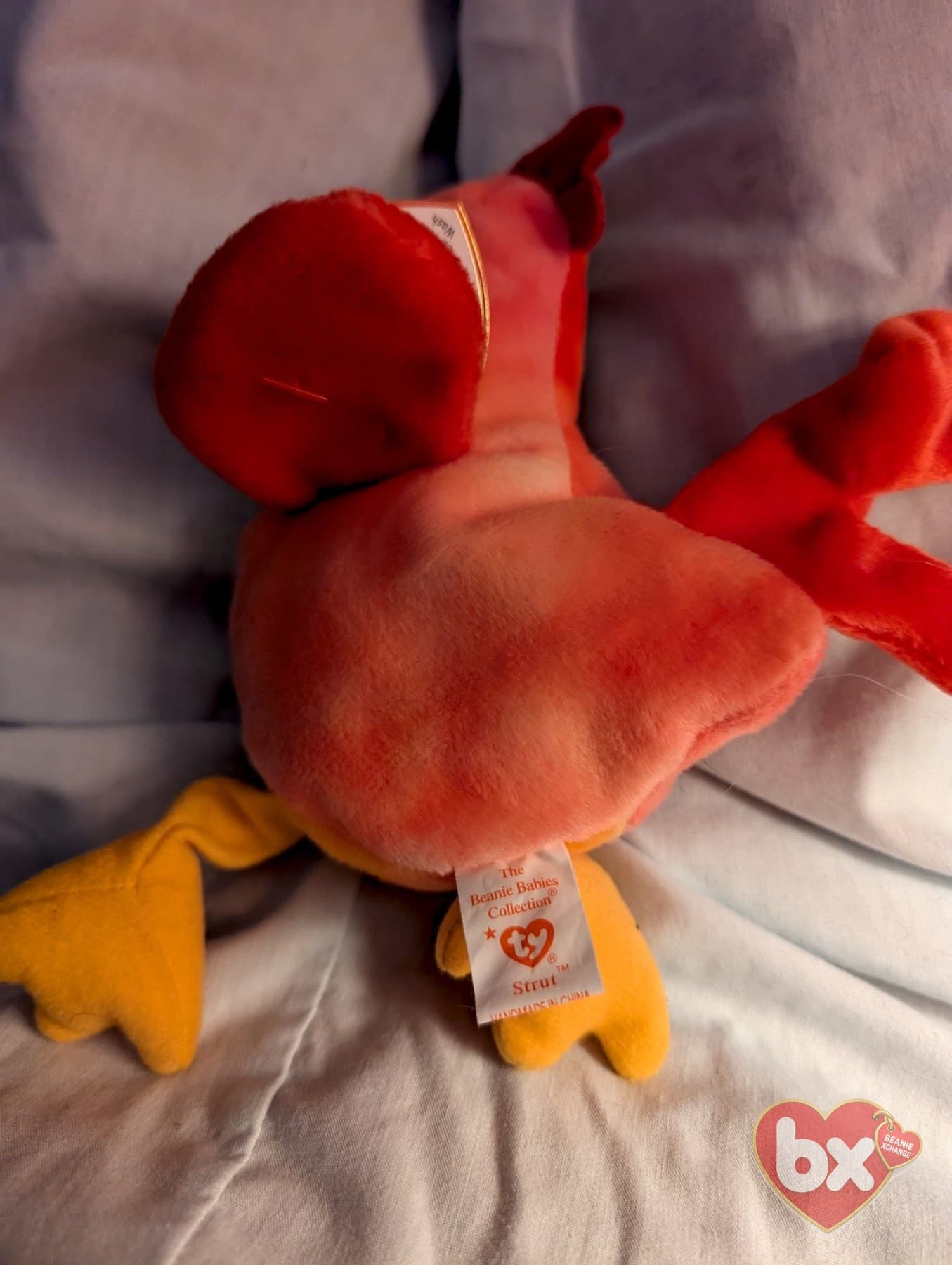 Doodle / Strut — Ty Beanie Baby (photo 3)