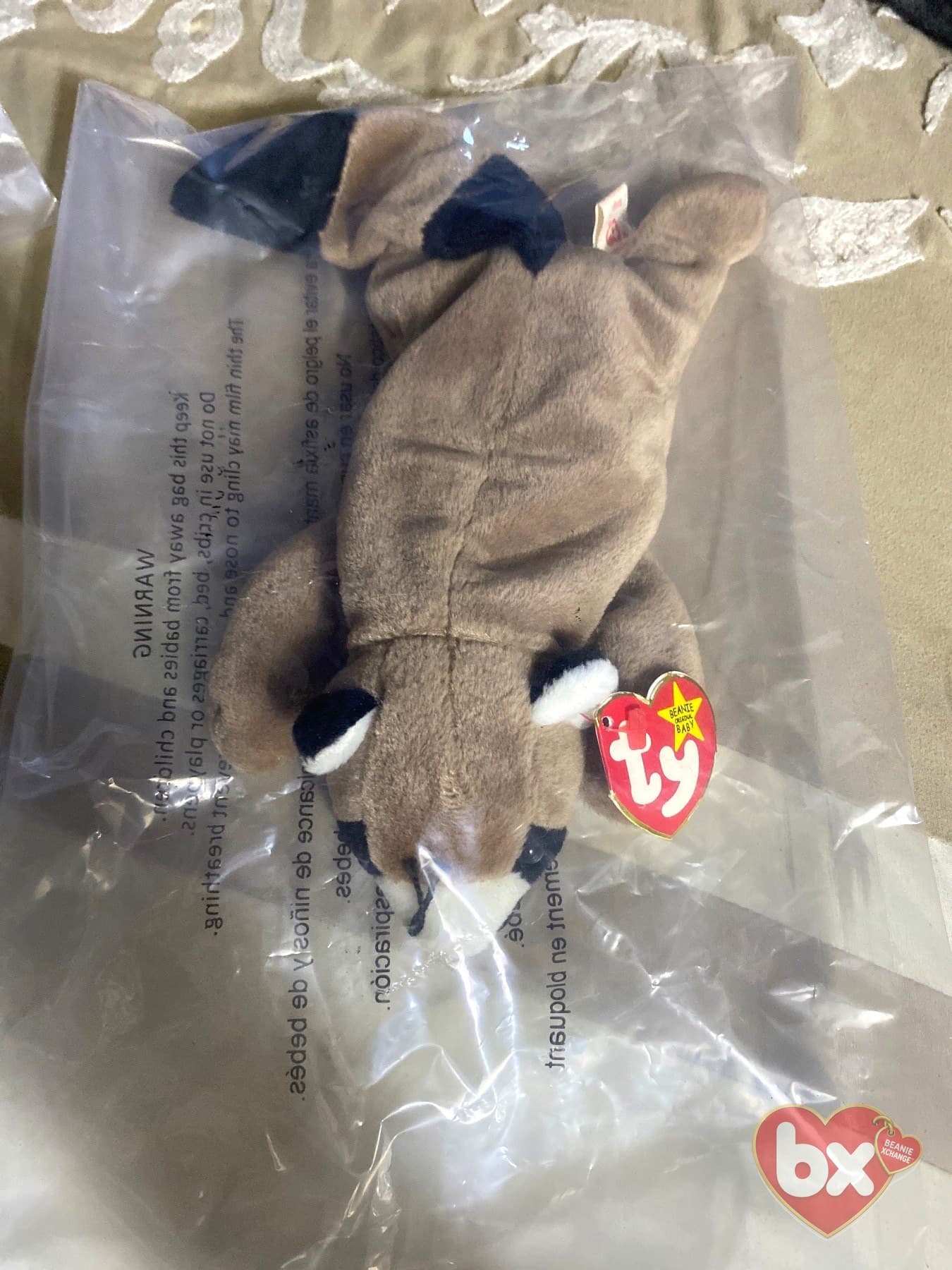 Ringo — Ty Beanie Baby