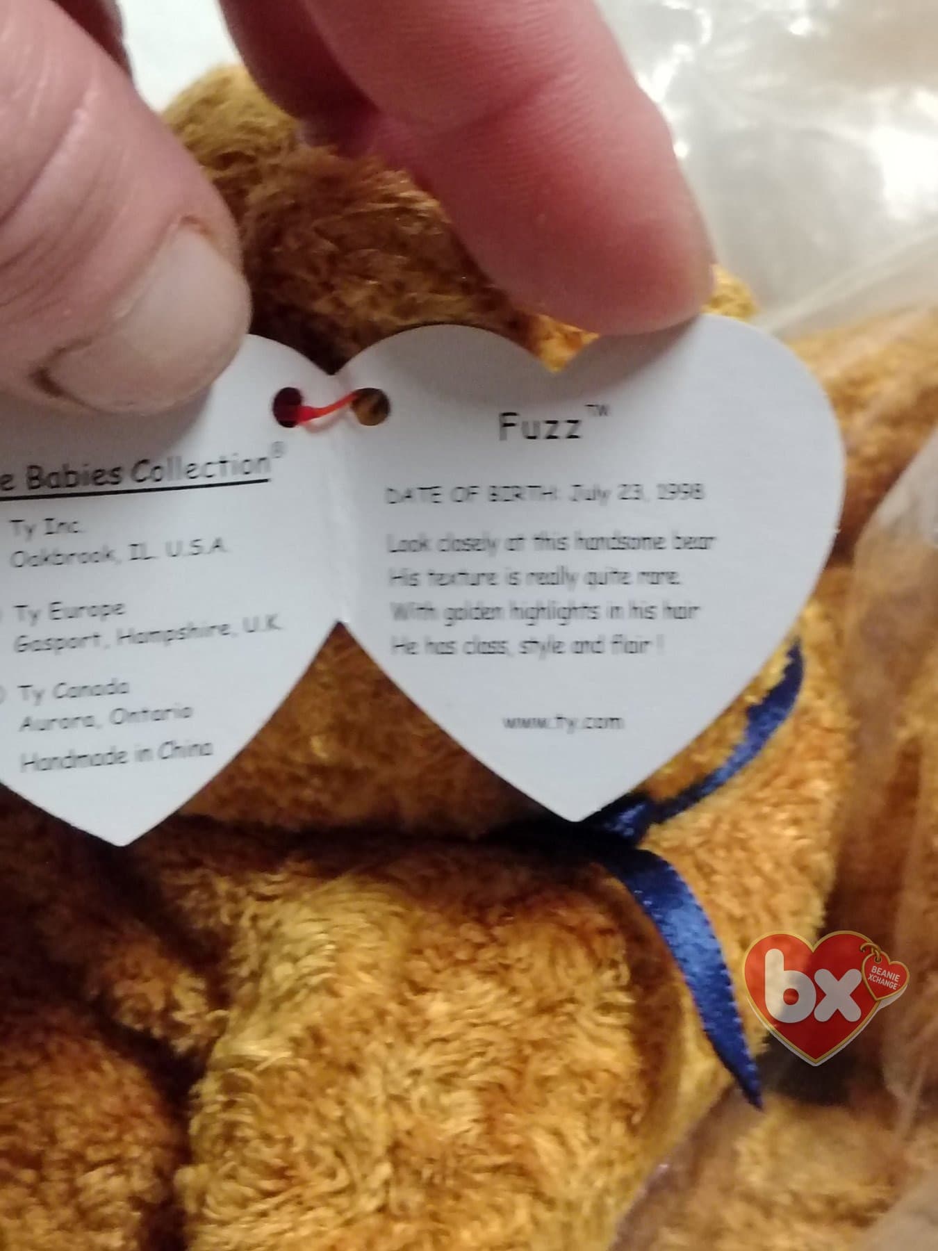 Fuzz — Ty Beanie Baby