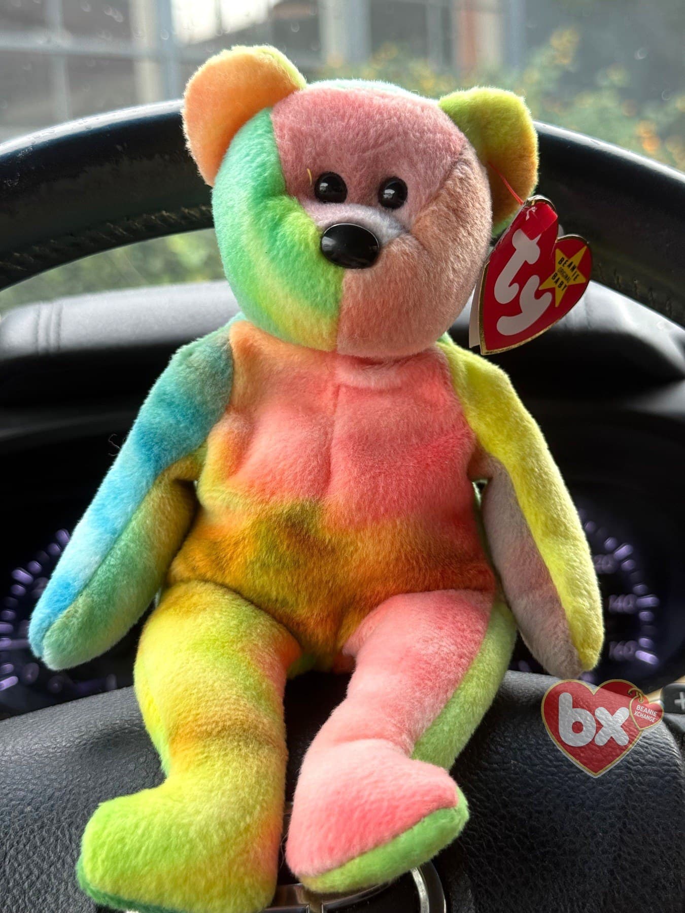 Garcia — Ty Beanie Baby bear (1998) (photo 1)