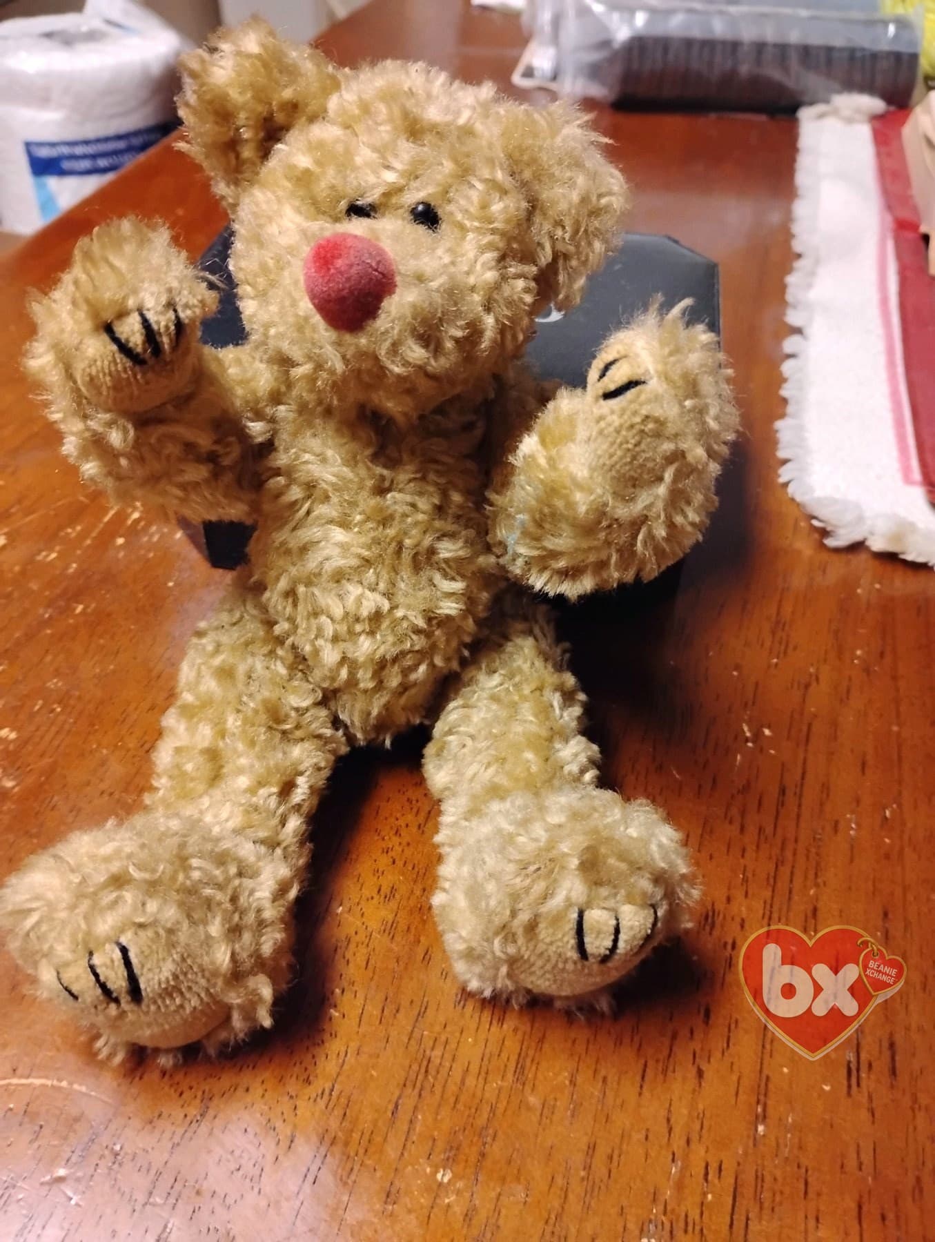 Cubbie — Ty Beanie Baby bear (1993) (photo 1)
