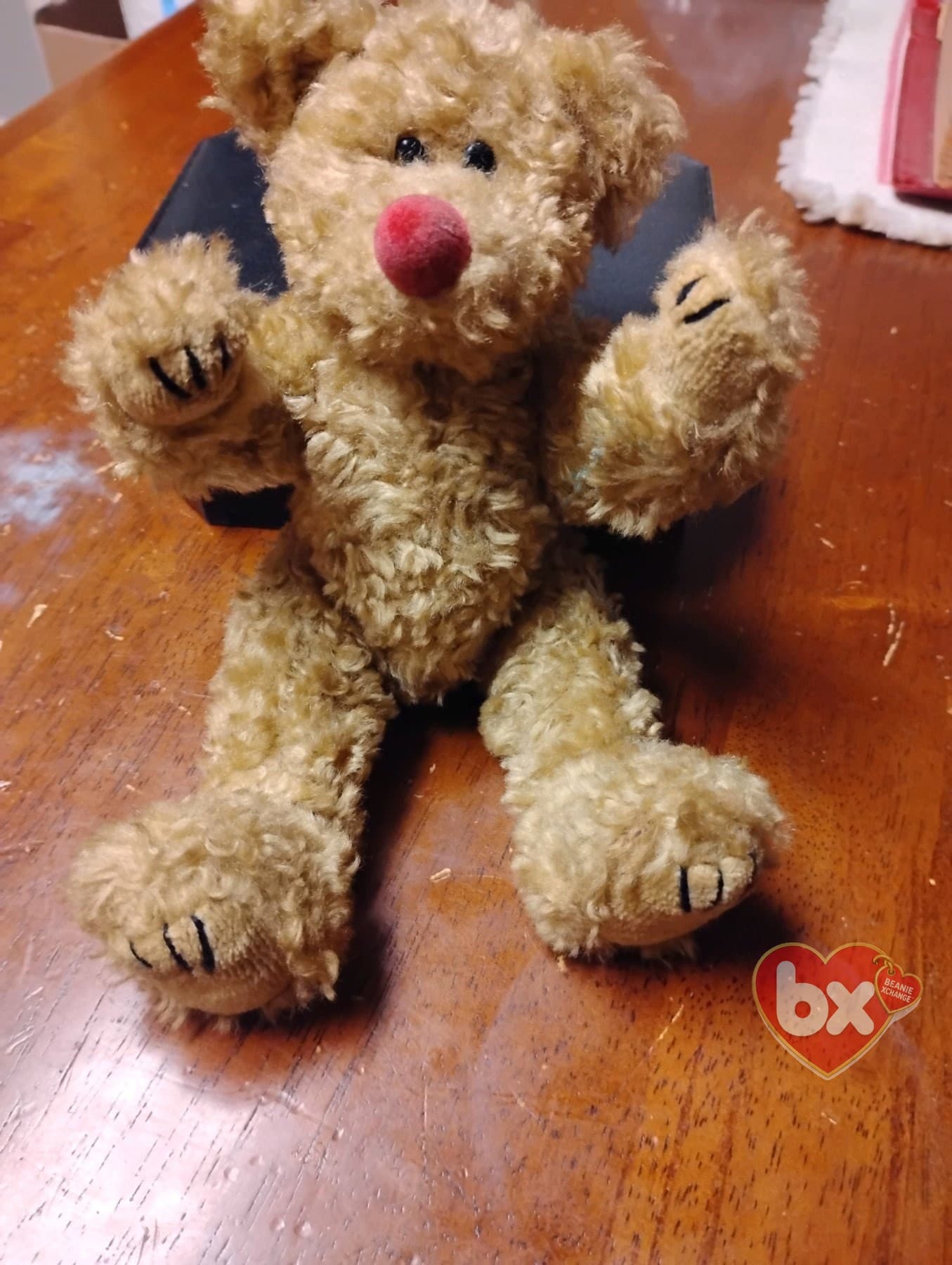 Cubbie — Ty Beanie Baby bear (1993) (photo 4)