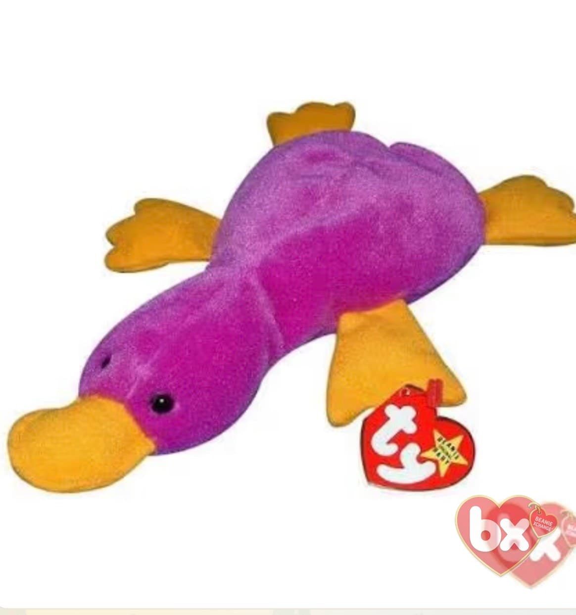 Patti — Ty Beanie Baby platypus (1993)
