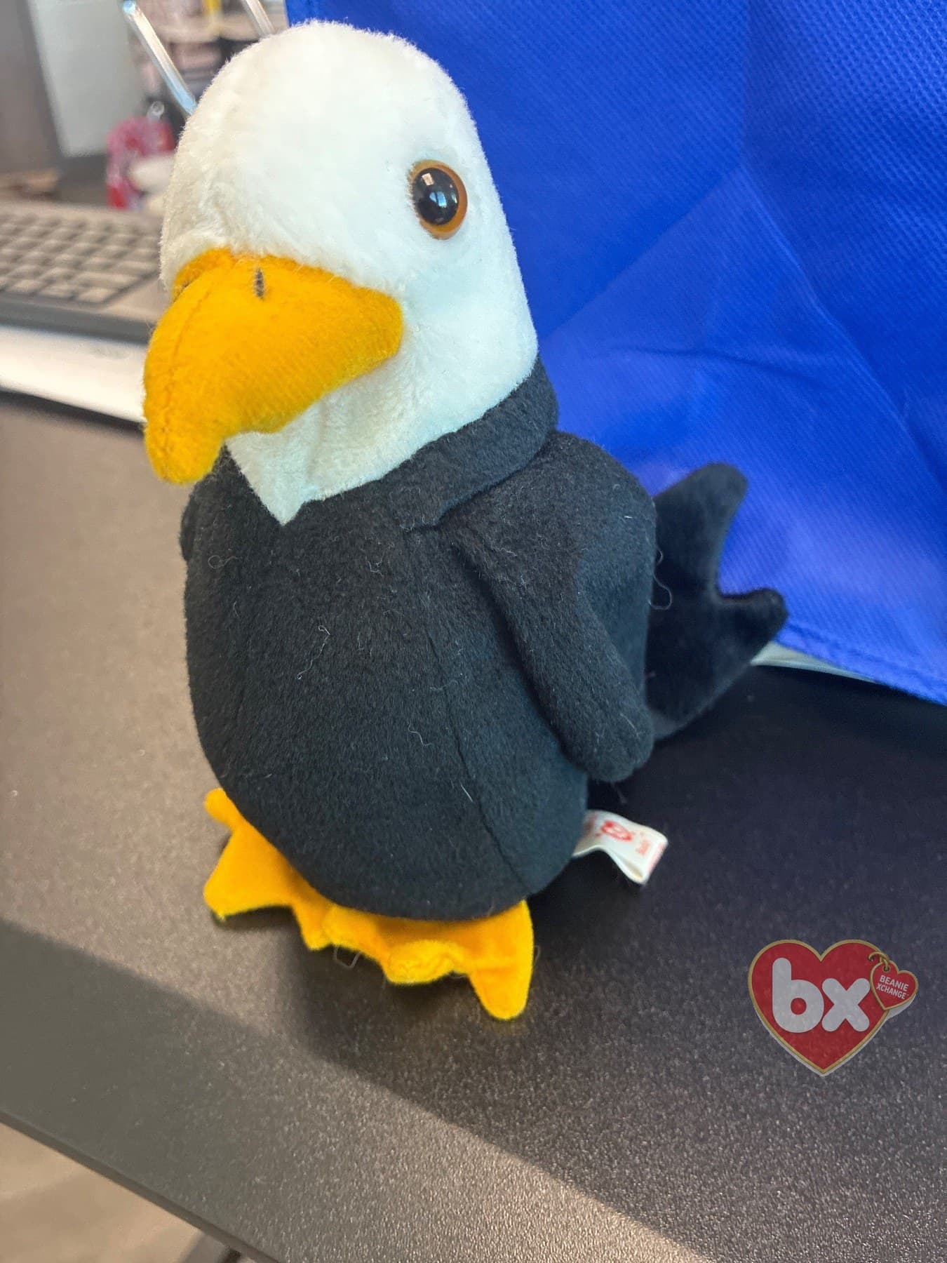 Baldy — Ty Beanie Baby eagle (1996)
