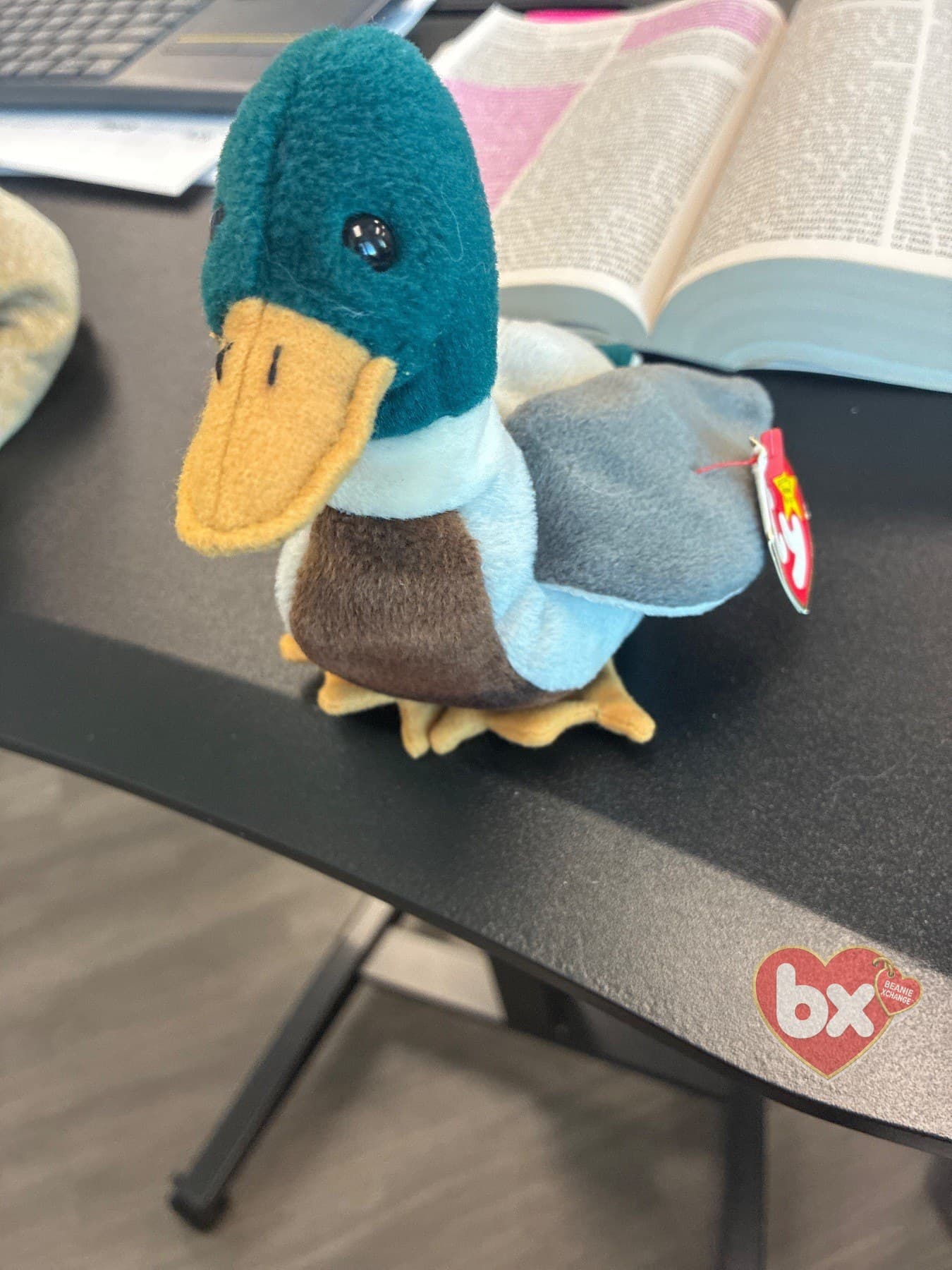 Jake — Ty Beanie Baby