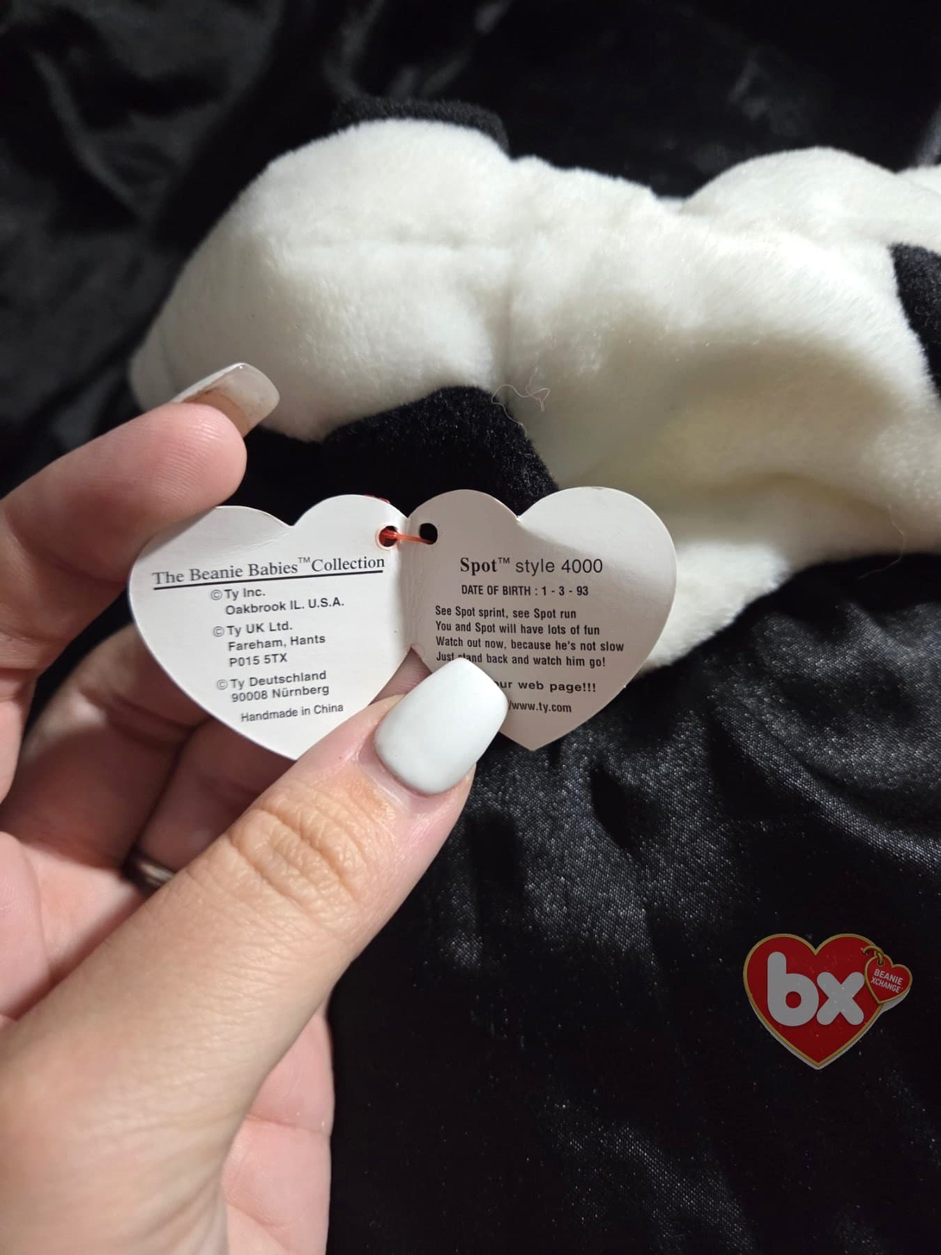 Spot — Ty Beanie Baby dog (1993) (photo 3)
