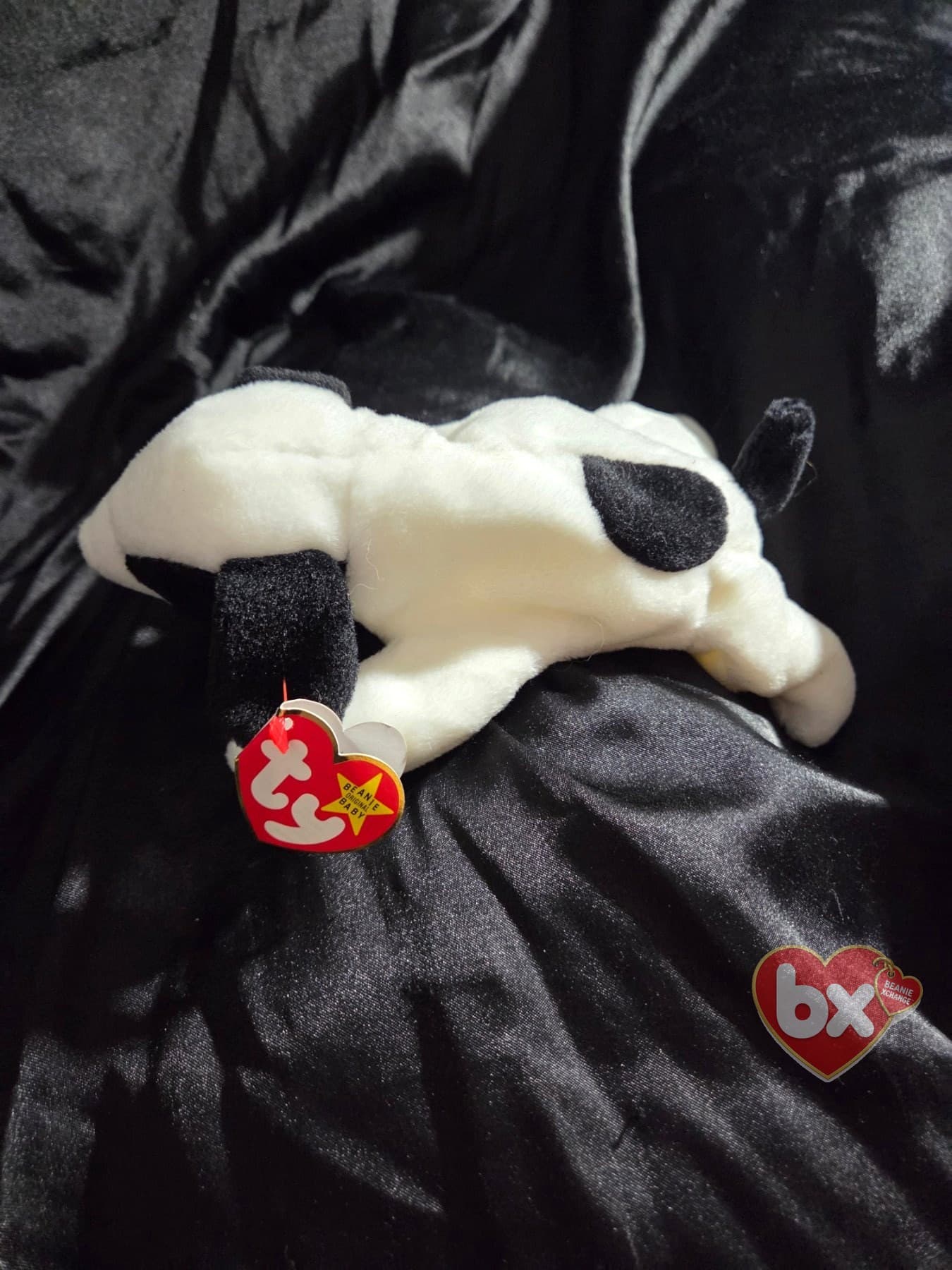 Spot — Ty Beanie Baby dog (1993) (photo 2)