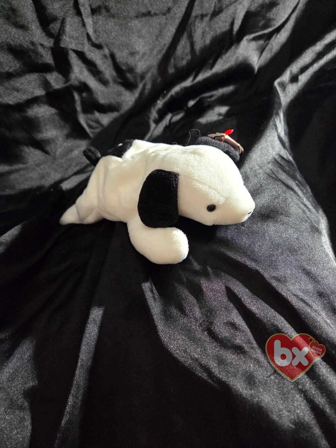 Spot — Ty Beanie Baby dog (1993) (photo 1)