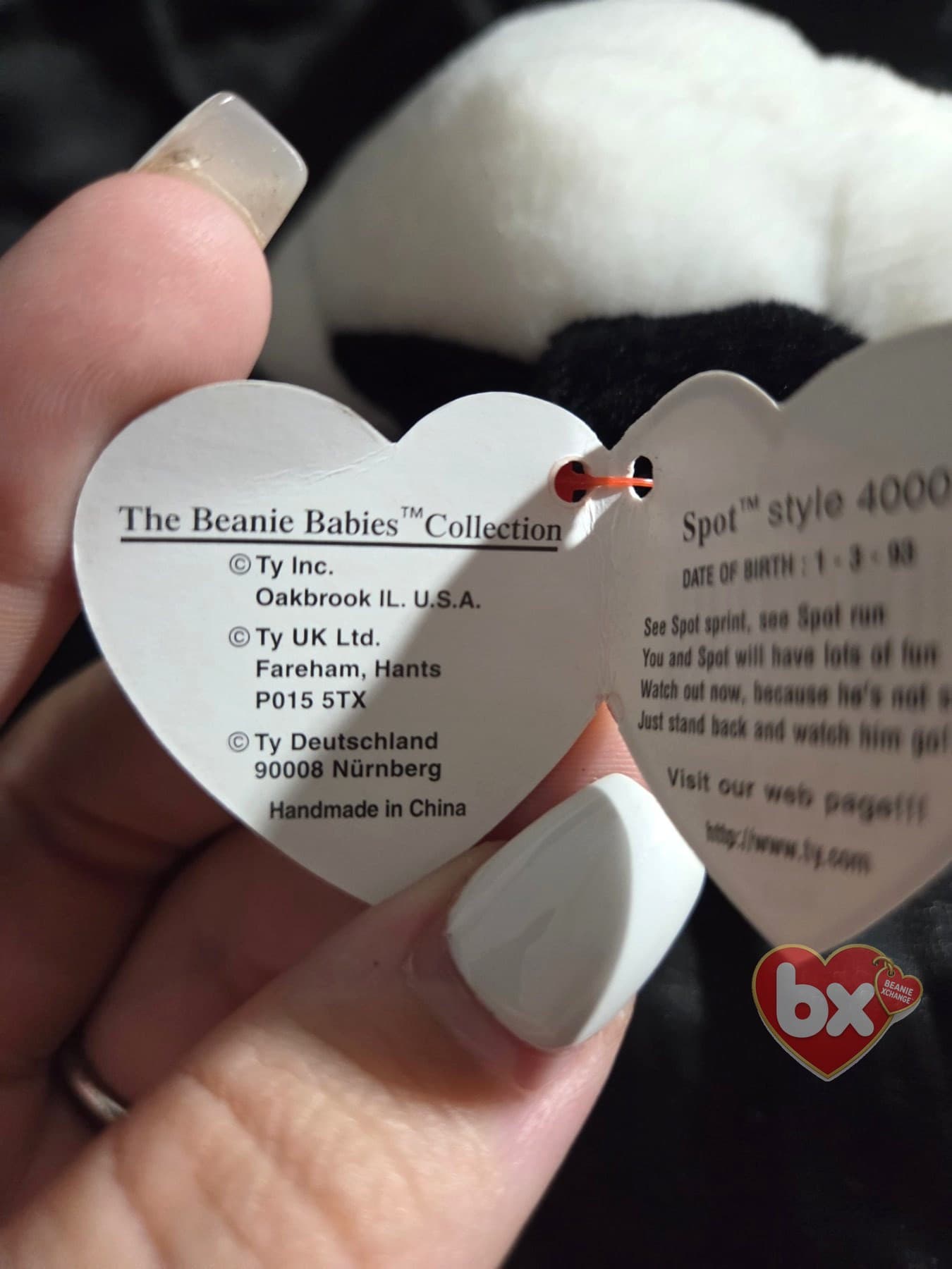 Spot — Ty Beanie Baby dog (1993) (photo 5)