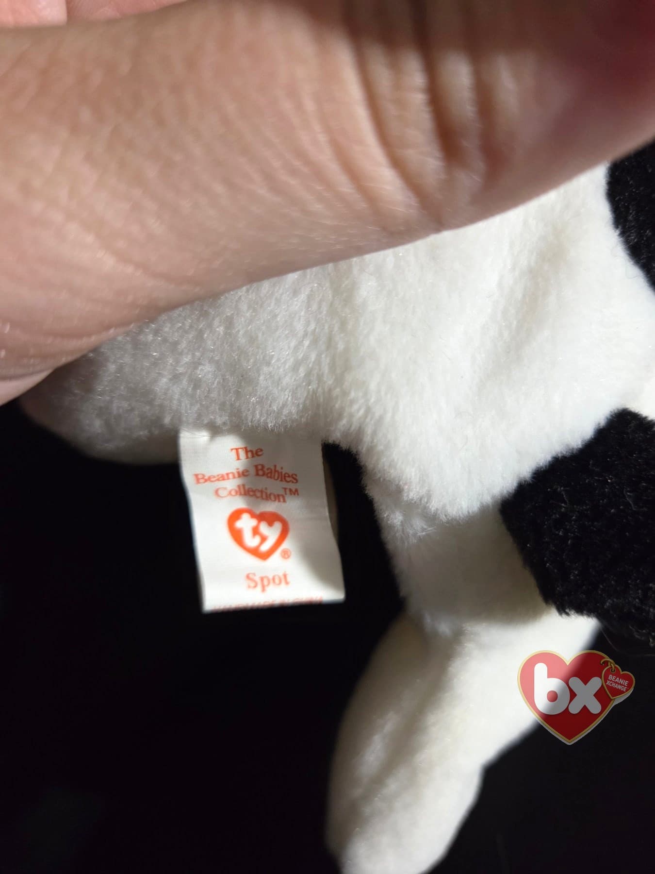 Spot — Ty Beanie Baby dog (1993) (photo 6)